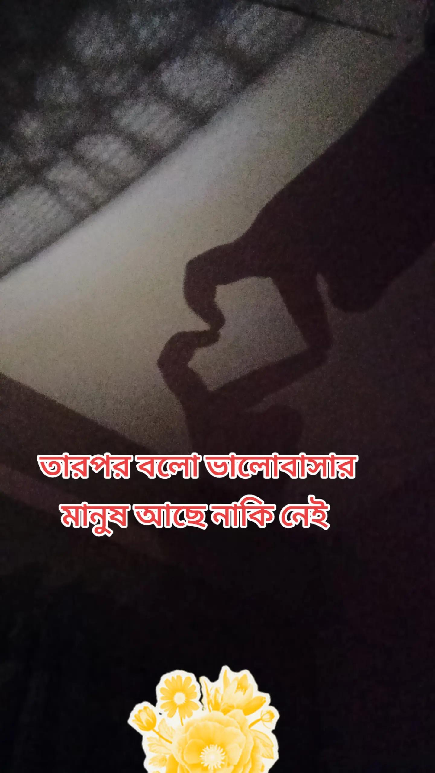 @đ¤Ģđ¤āĻāĻžāϤāĻŋāϰ āĻŦāĻ āĻŽāĻžâ¨đâī¸