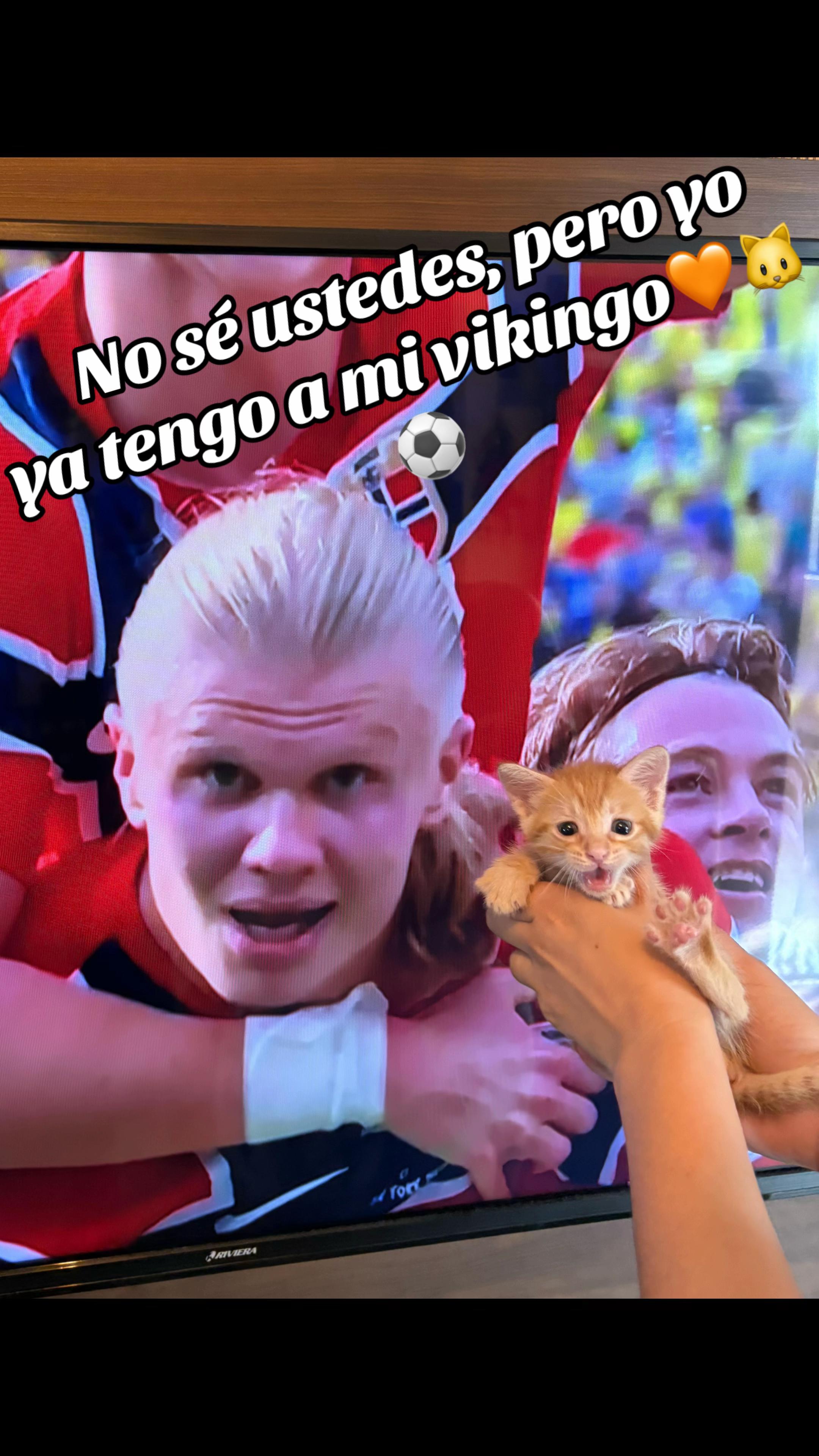 @Neicyleon