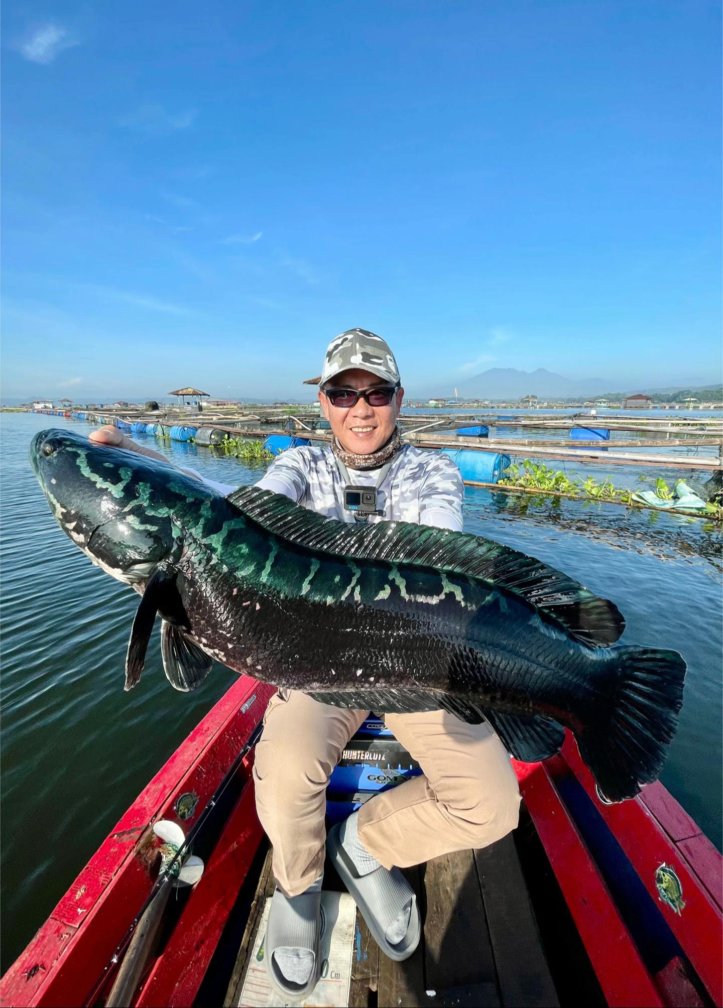 @PREDATORY ANGLER
