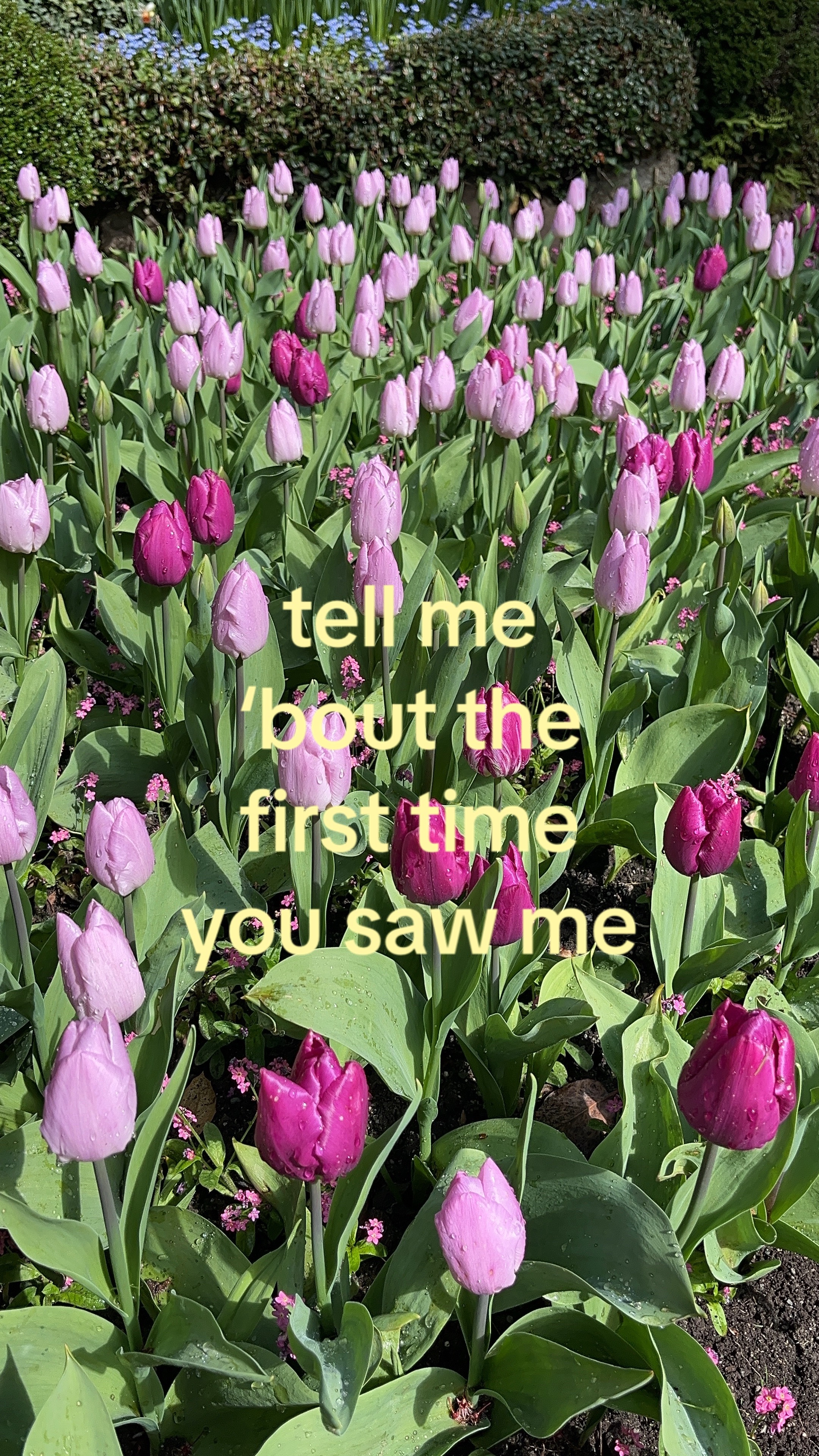 @tasha💌