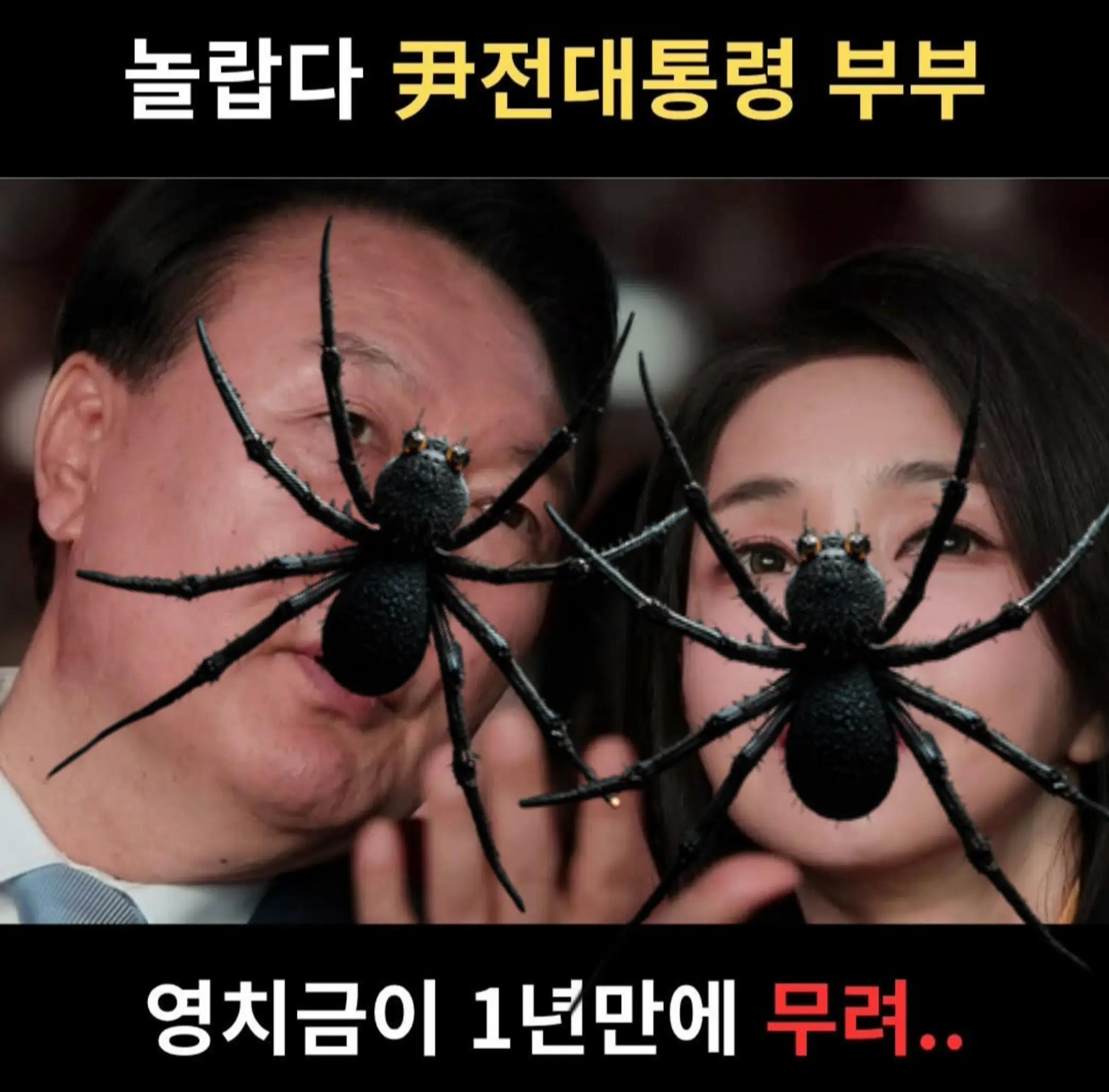 @🌺시라소니[본]🌺