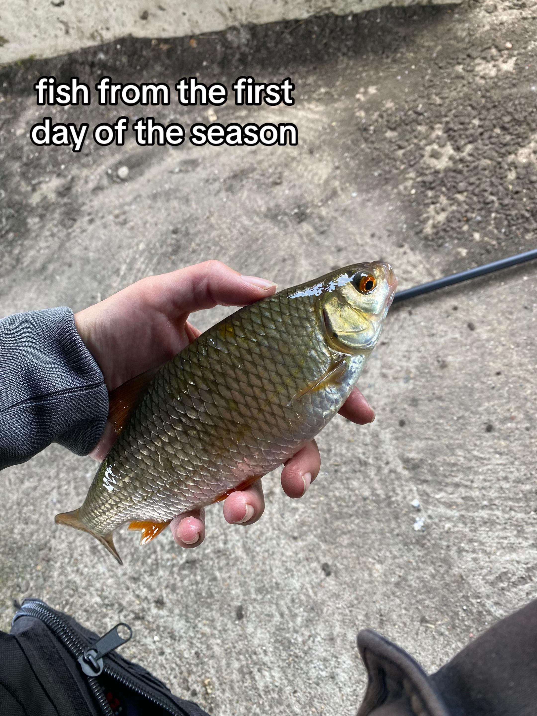 @🎣