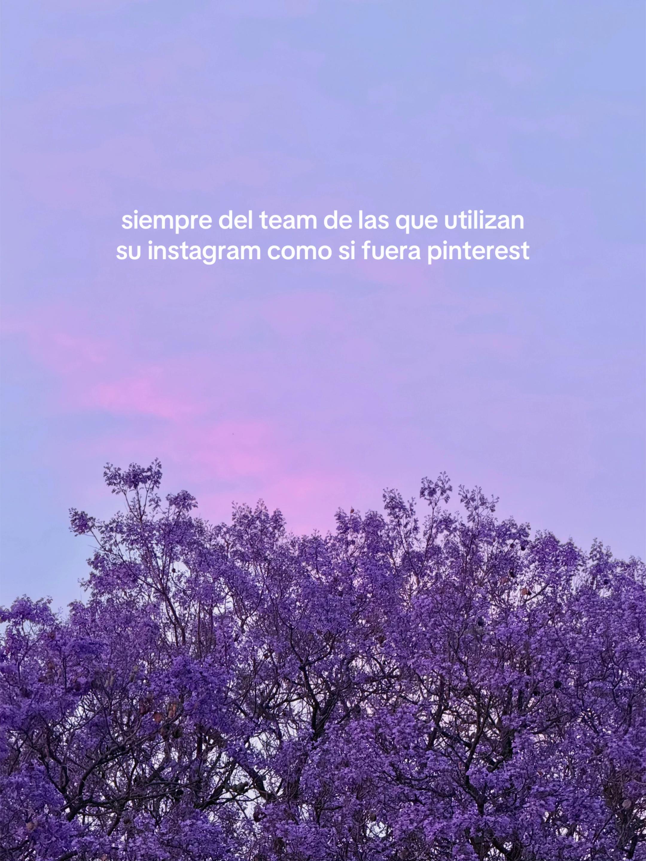 @andrea 🪩