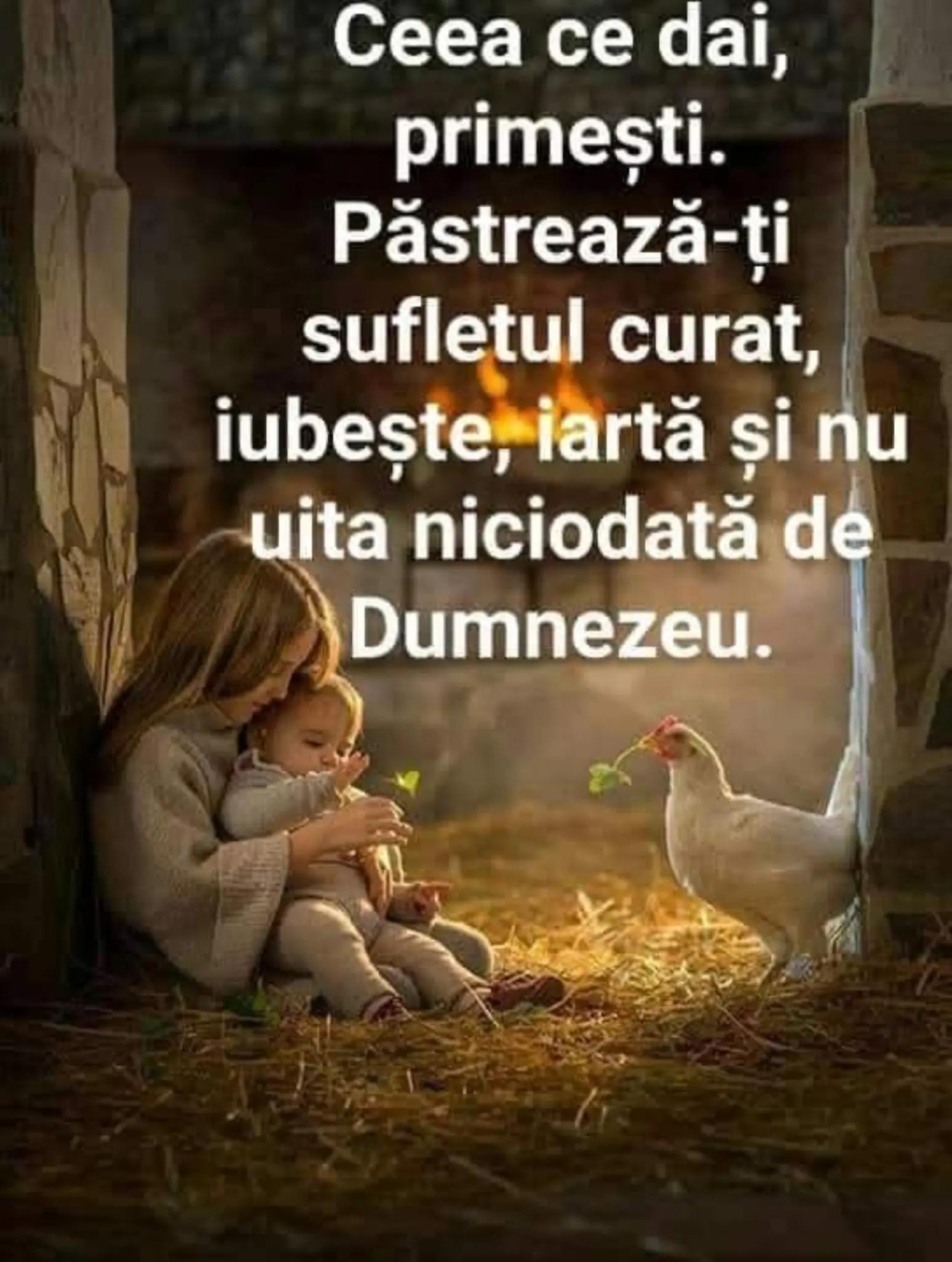 @Elena Popa8028