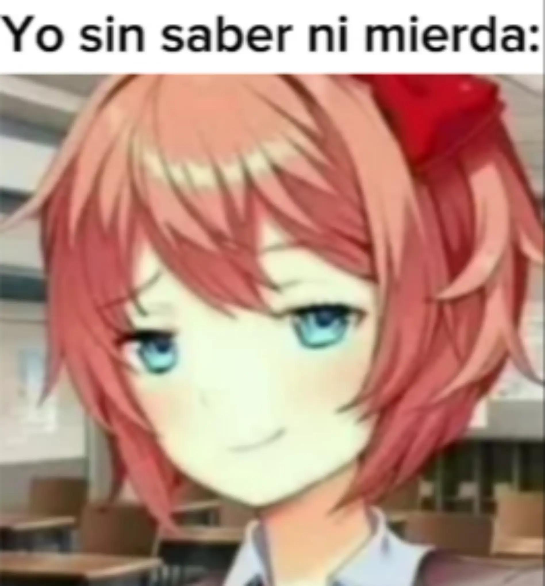 @𝘚𝘰𝘯𝘪𝘤𝘰