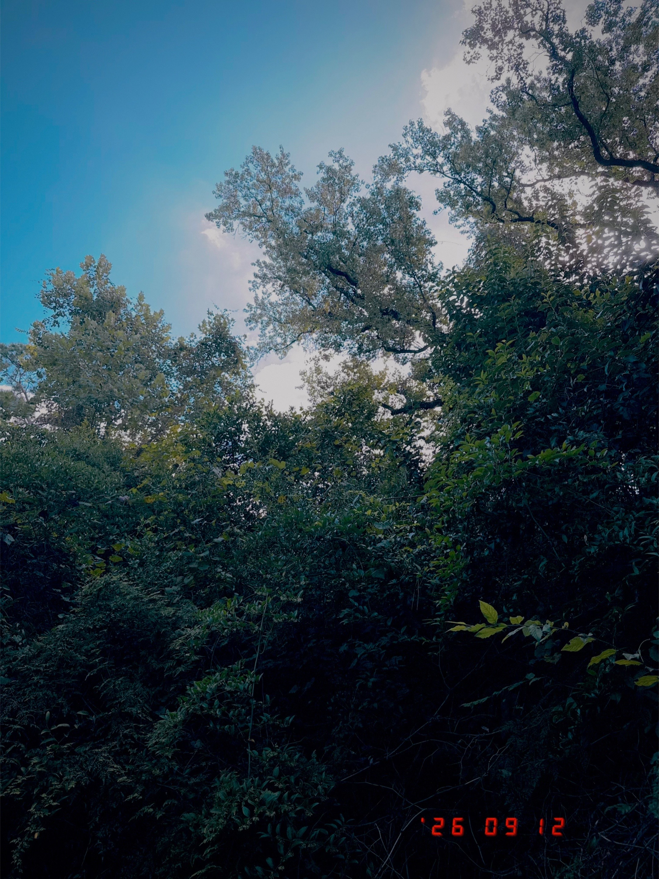 @elle.em.hunter