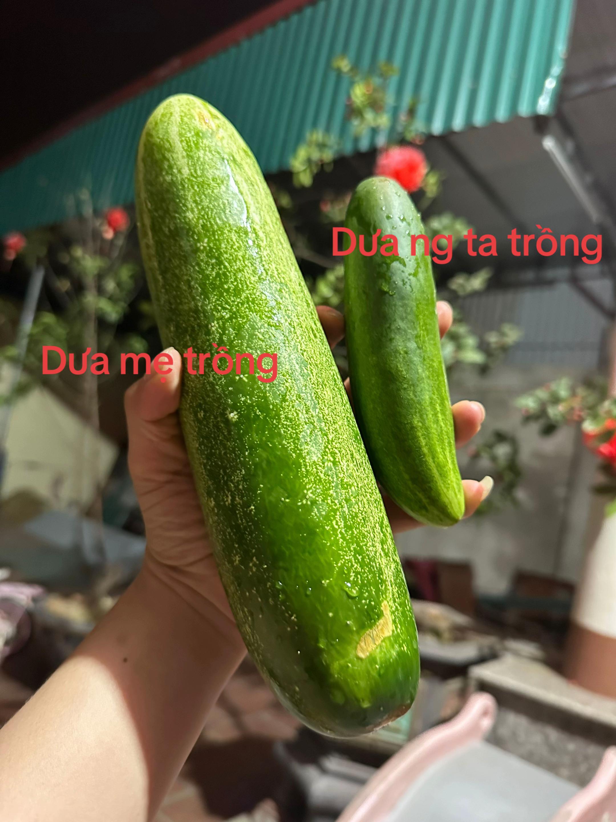 @Panda Store( Bếp Nh&agrave; Gấu Sịn )