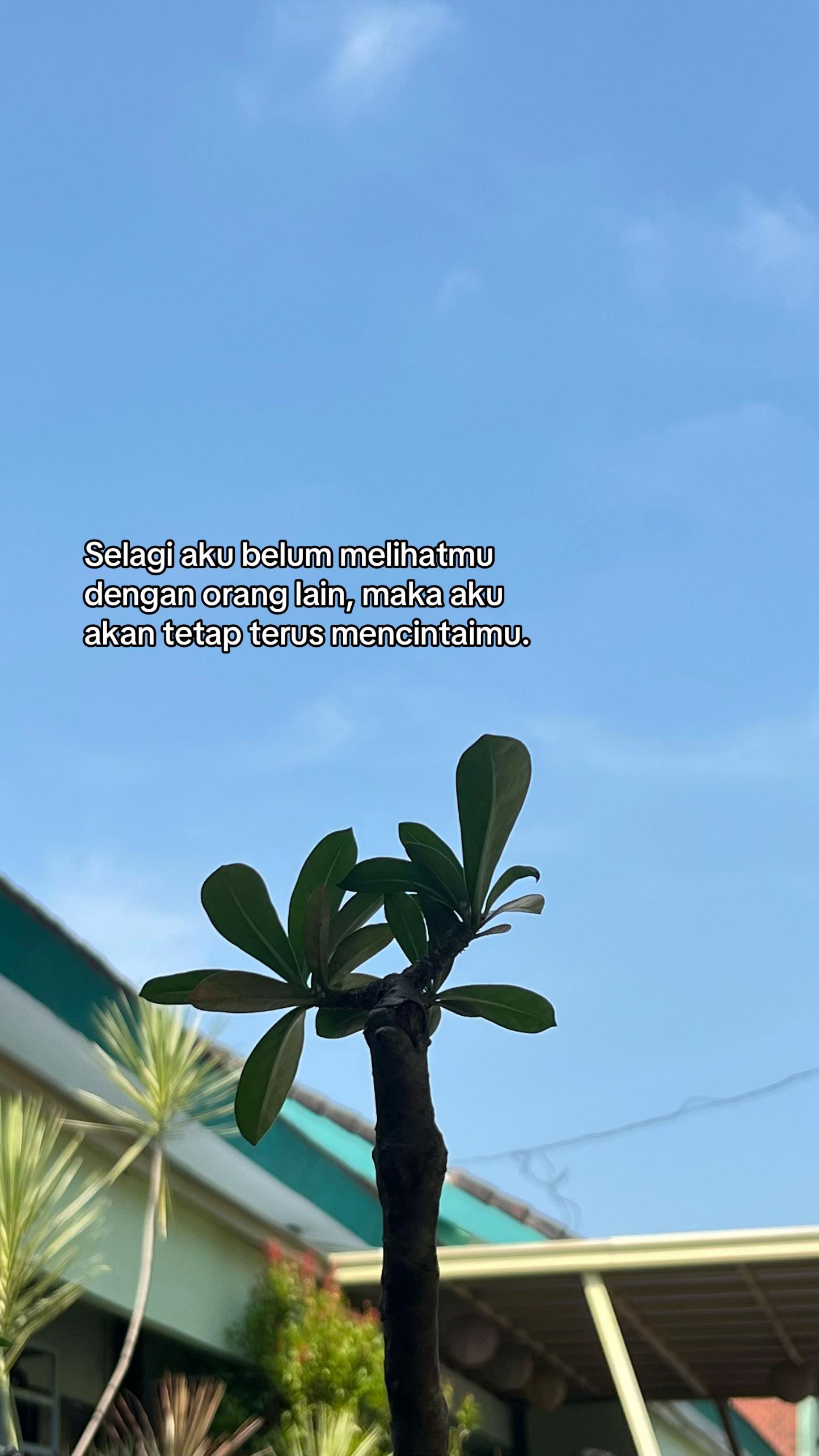 @R๏ฃฟ