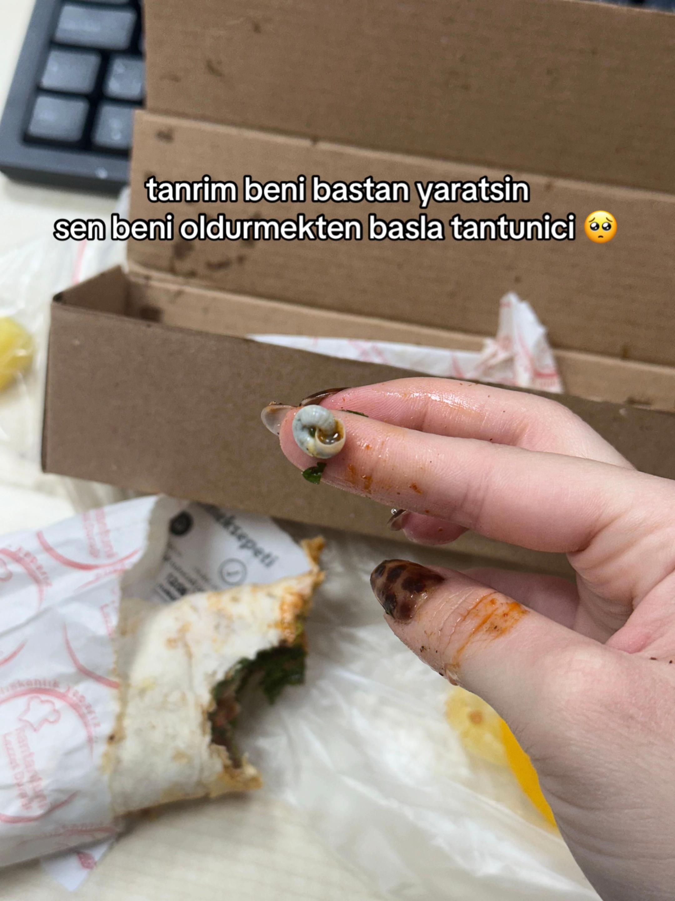 @aslikurucu