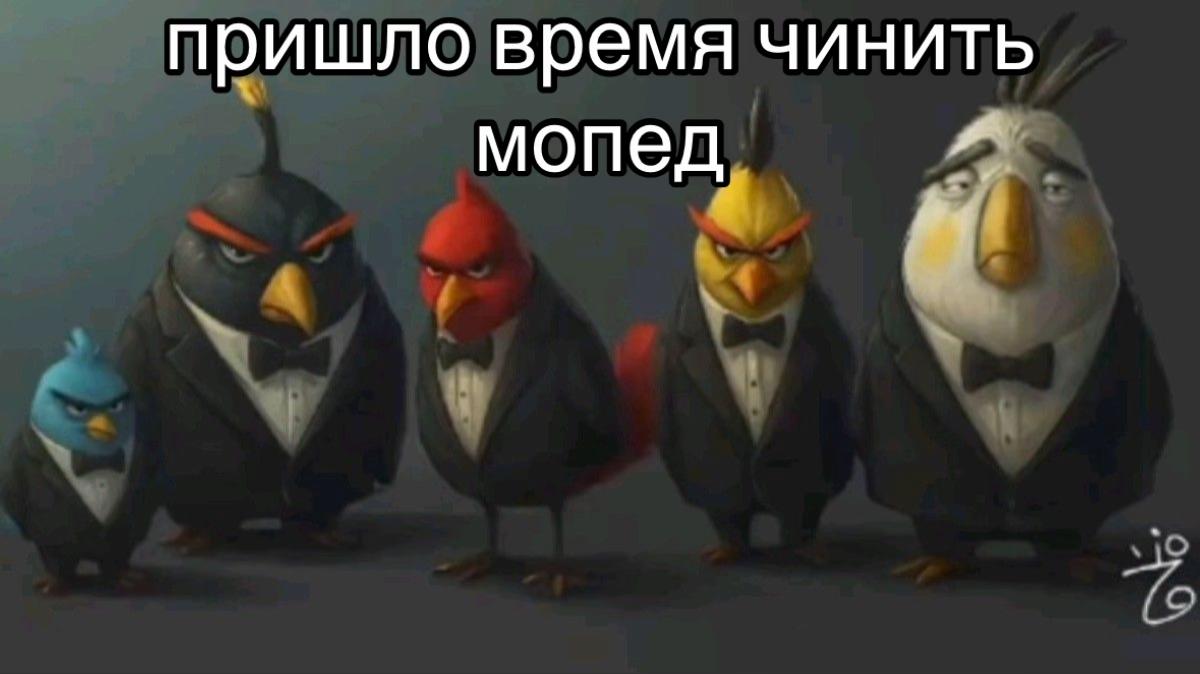 @festrovskyy 👁️