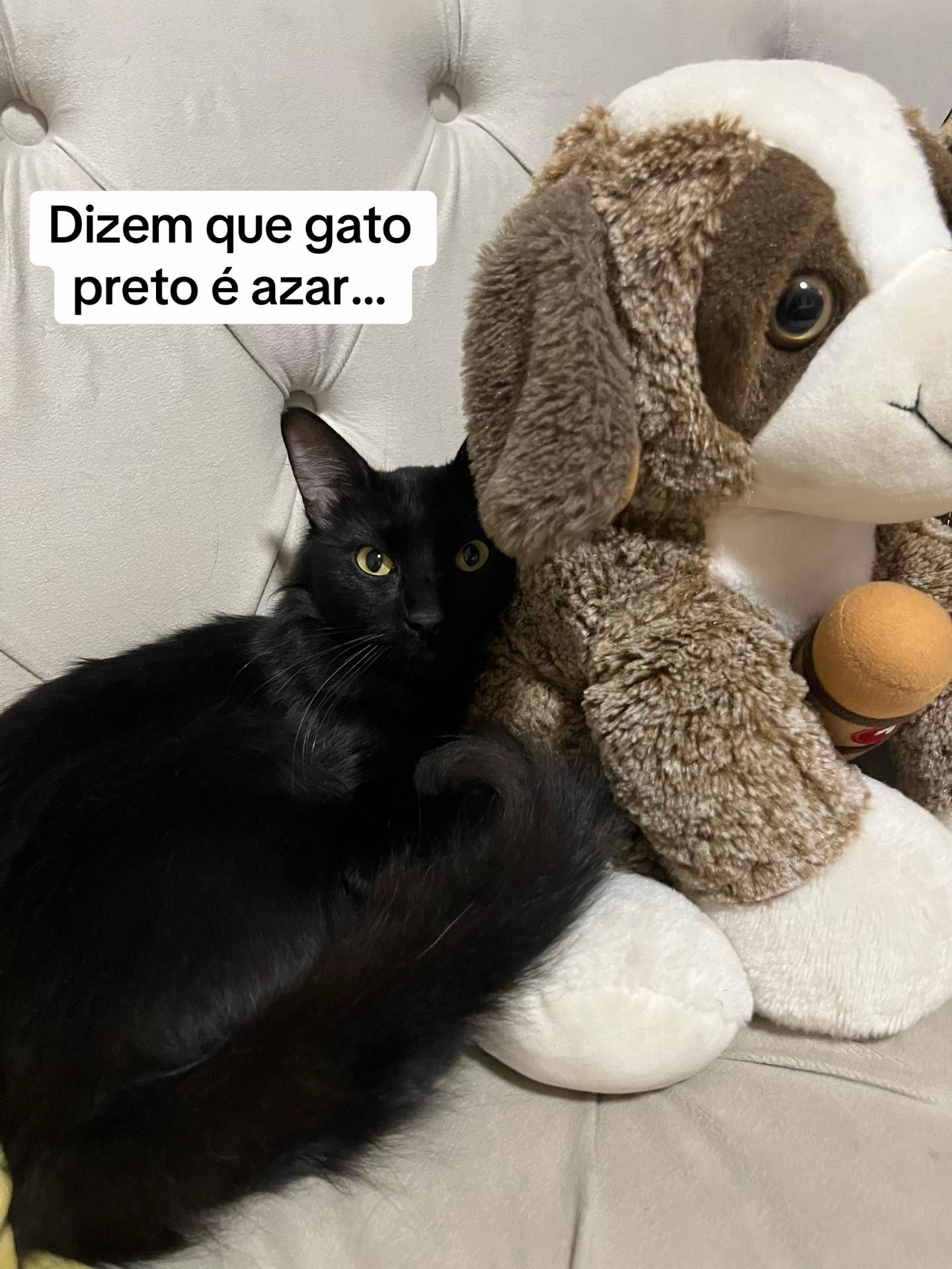@Mariana Matos ✨