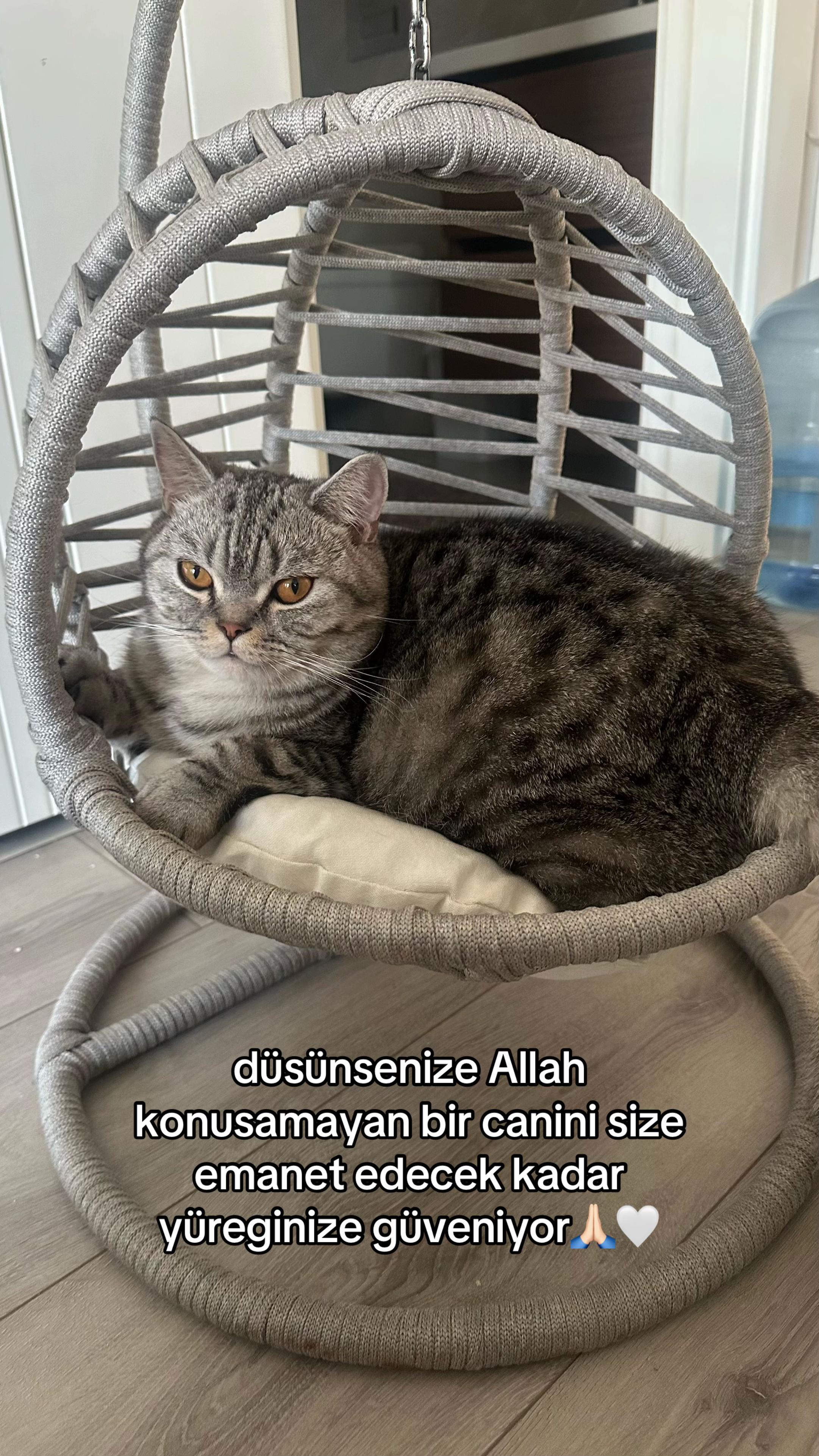 @GAMZE KARAAHMET