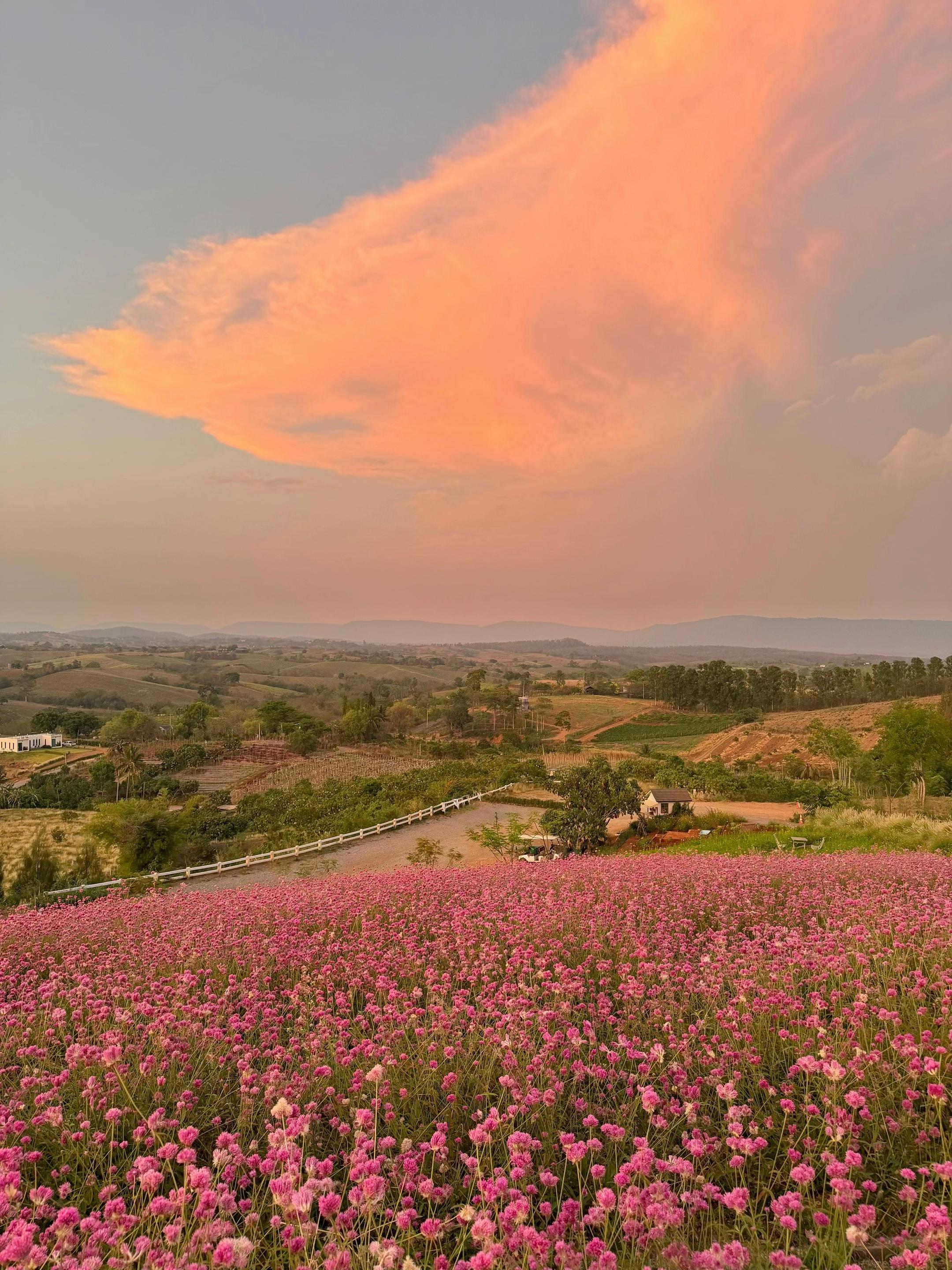 @donghousekhaoyai