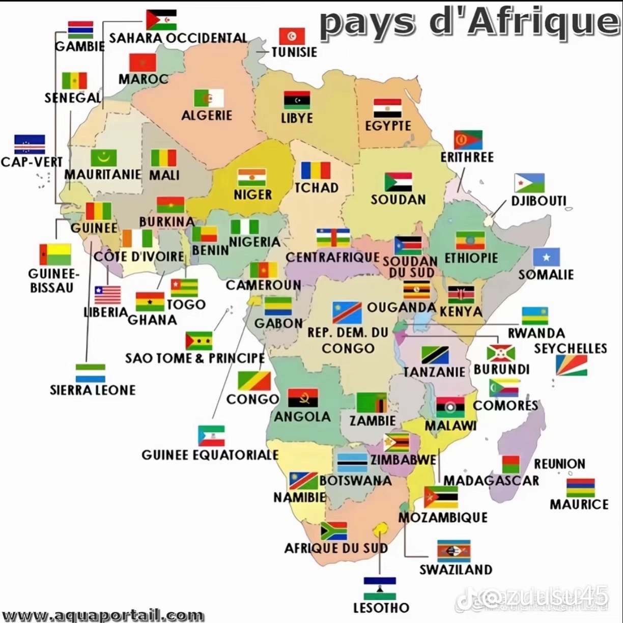 @Madame Diallo 🇬🇳🇺🇸☪️