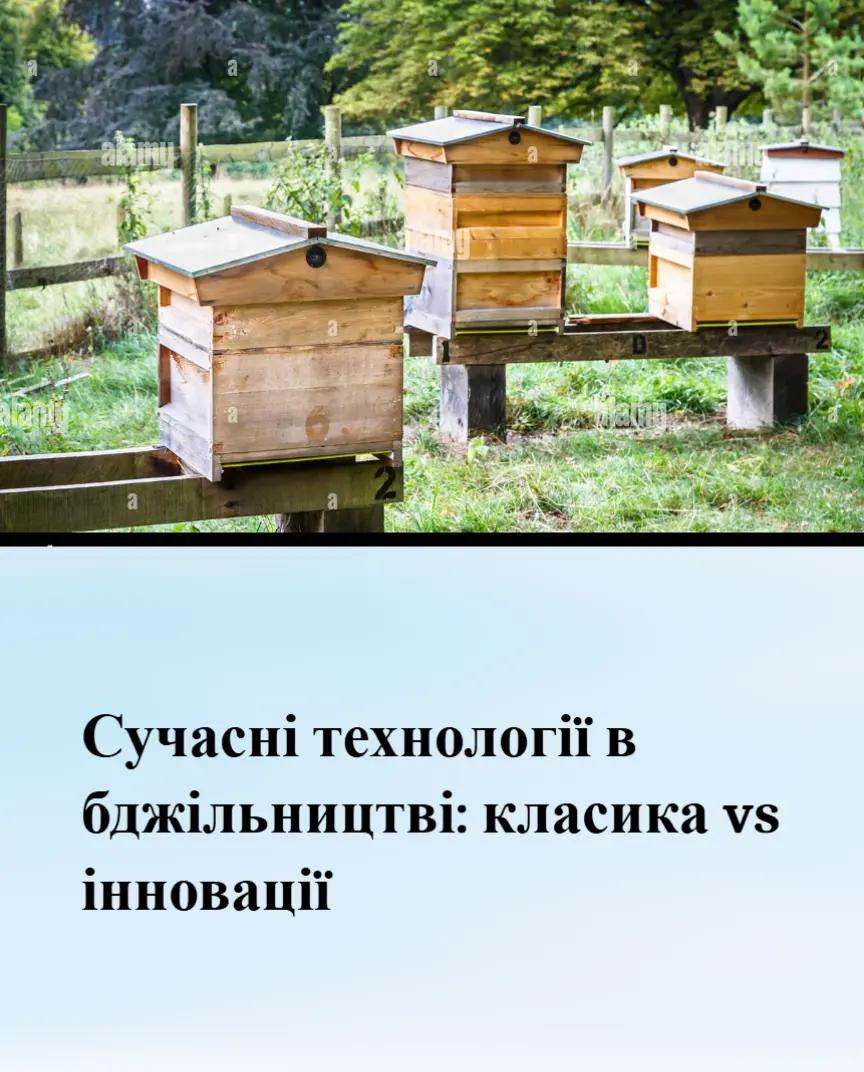 @Аля🐝