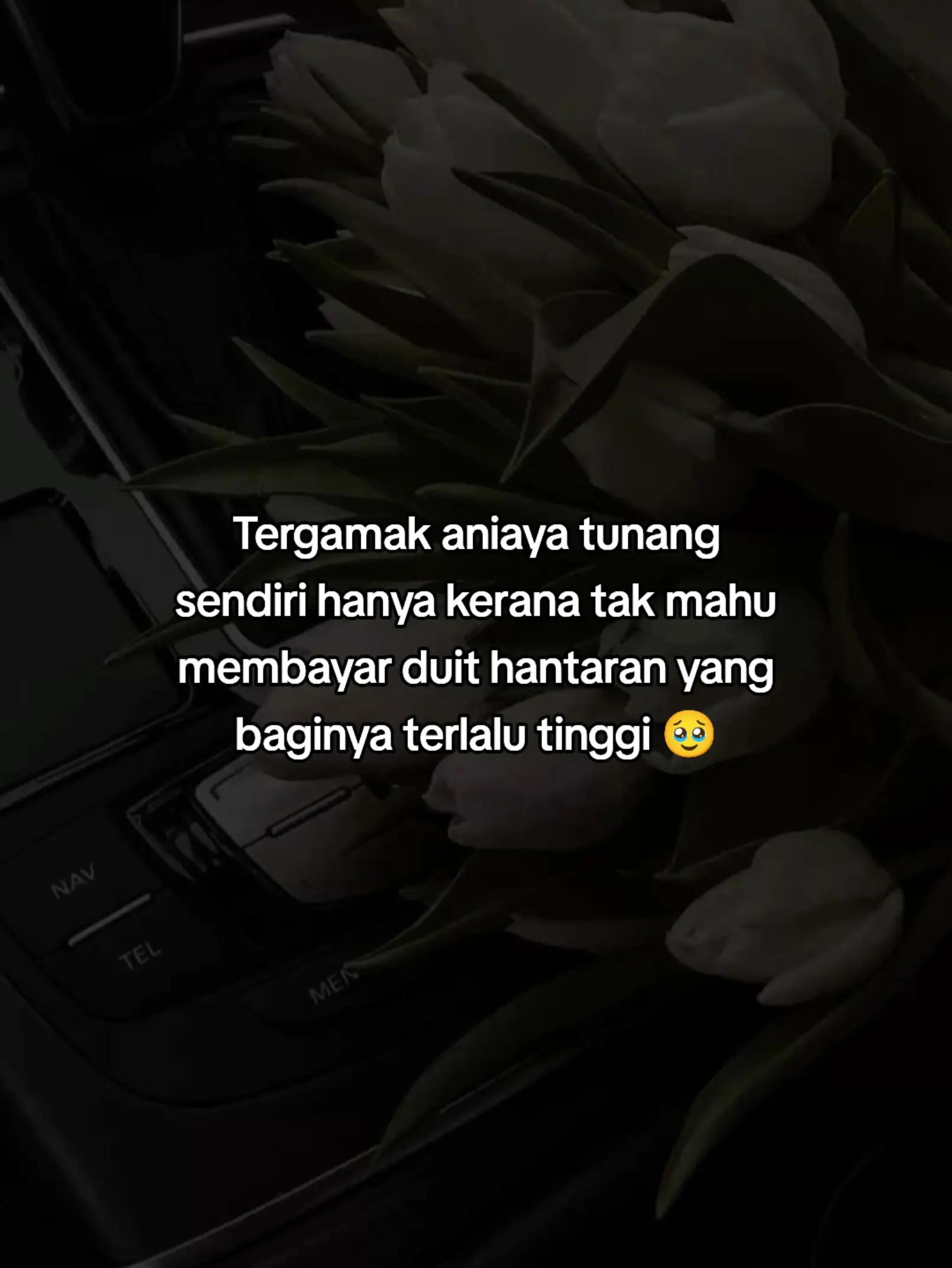 @syae' 🎗️