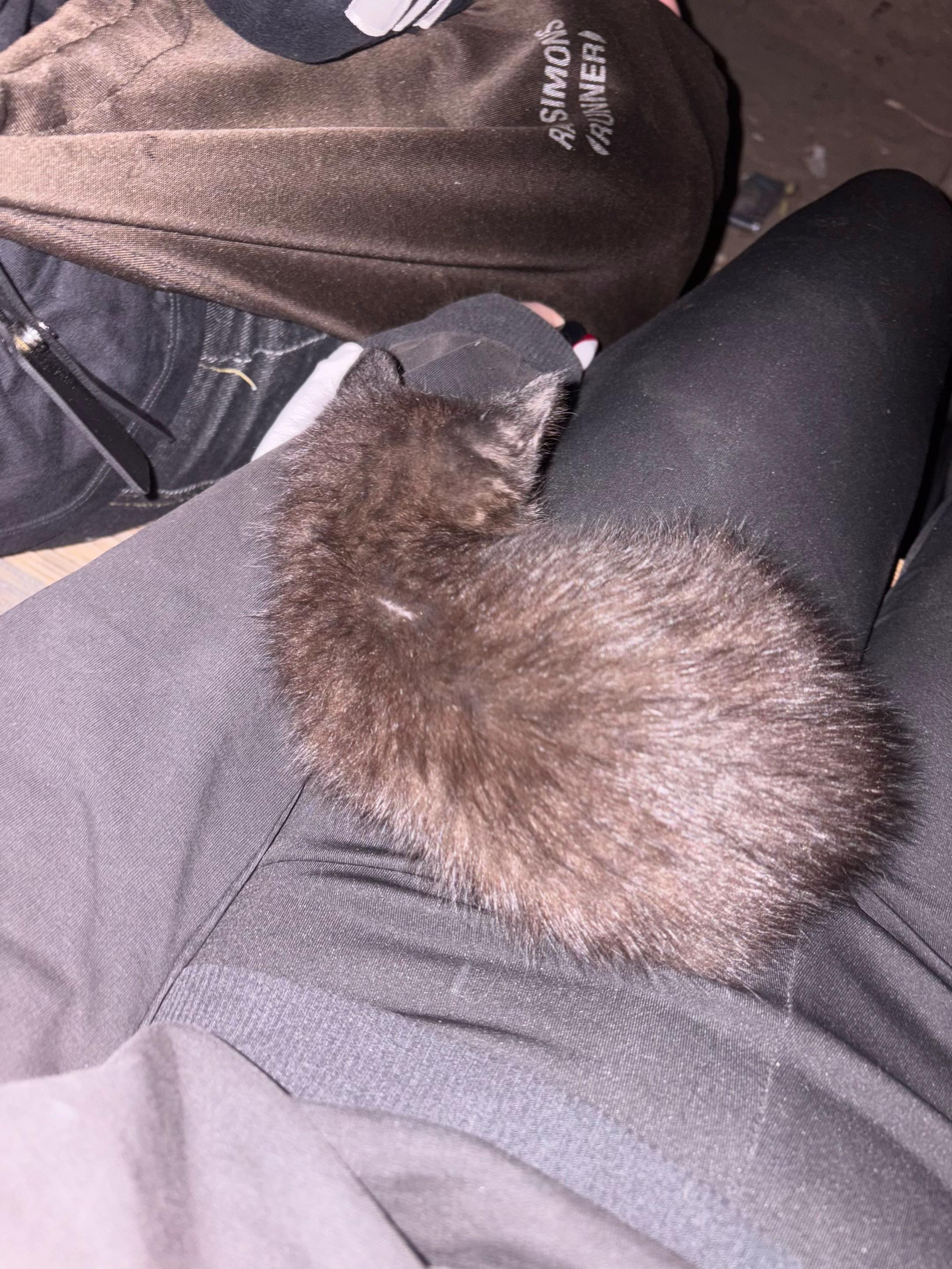 @ксеня