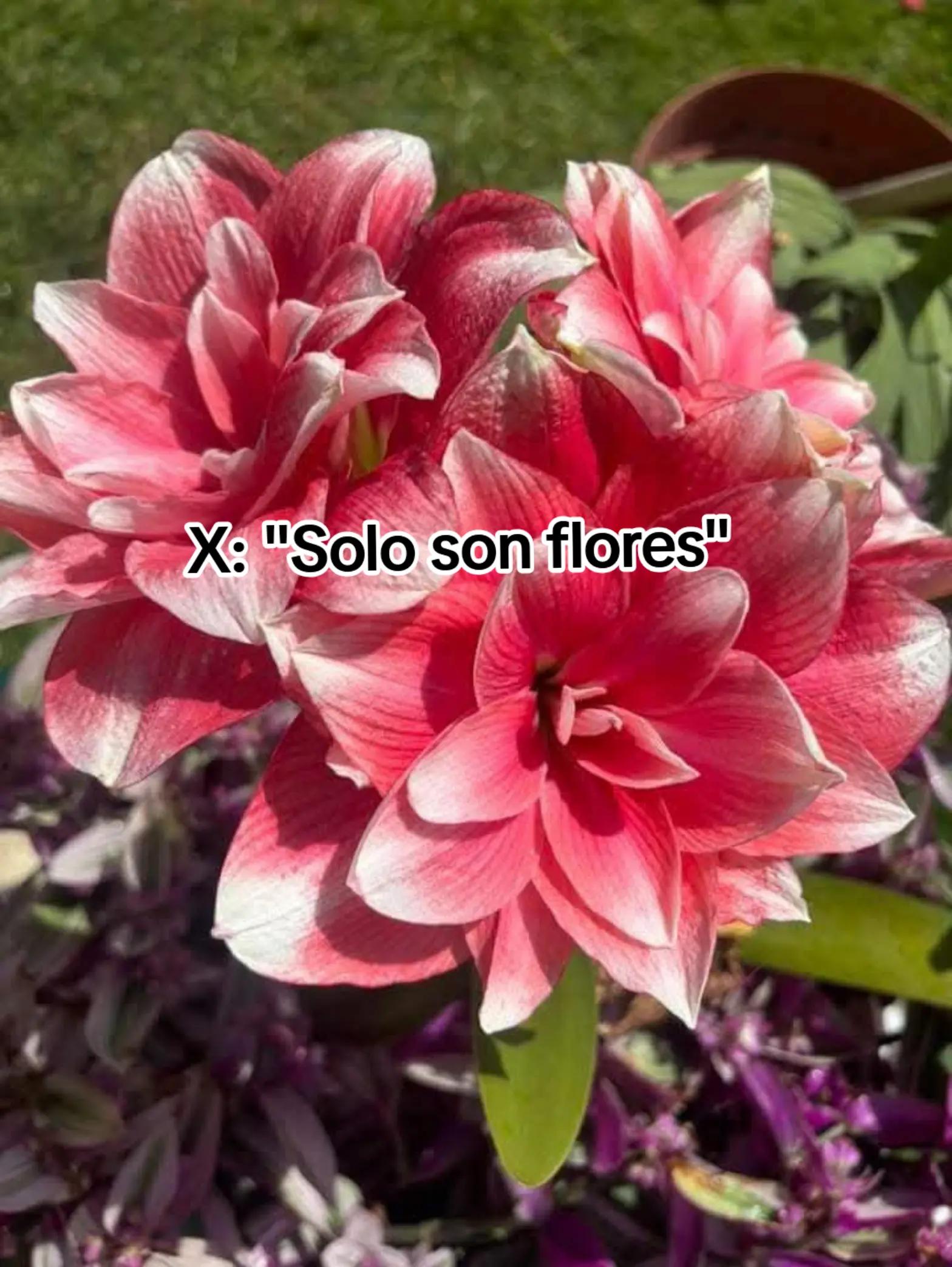 @Rebë🍒