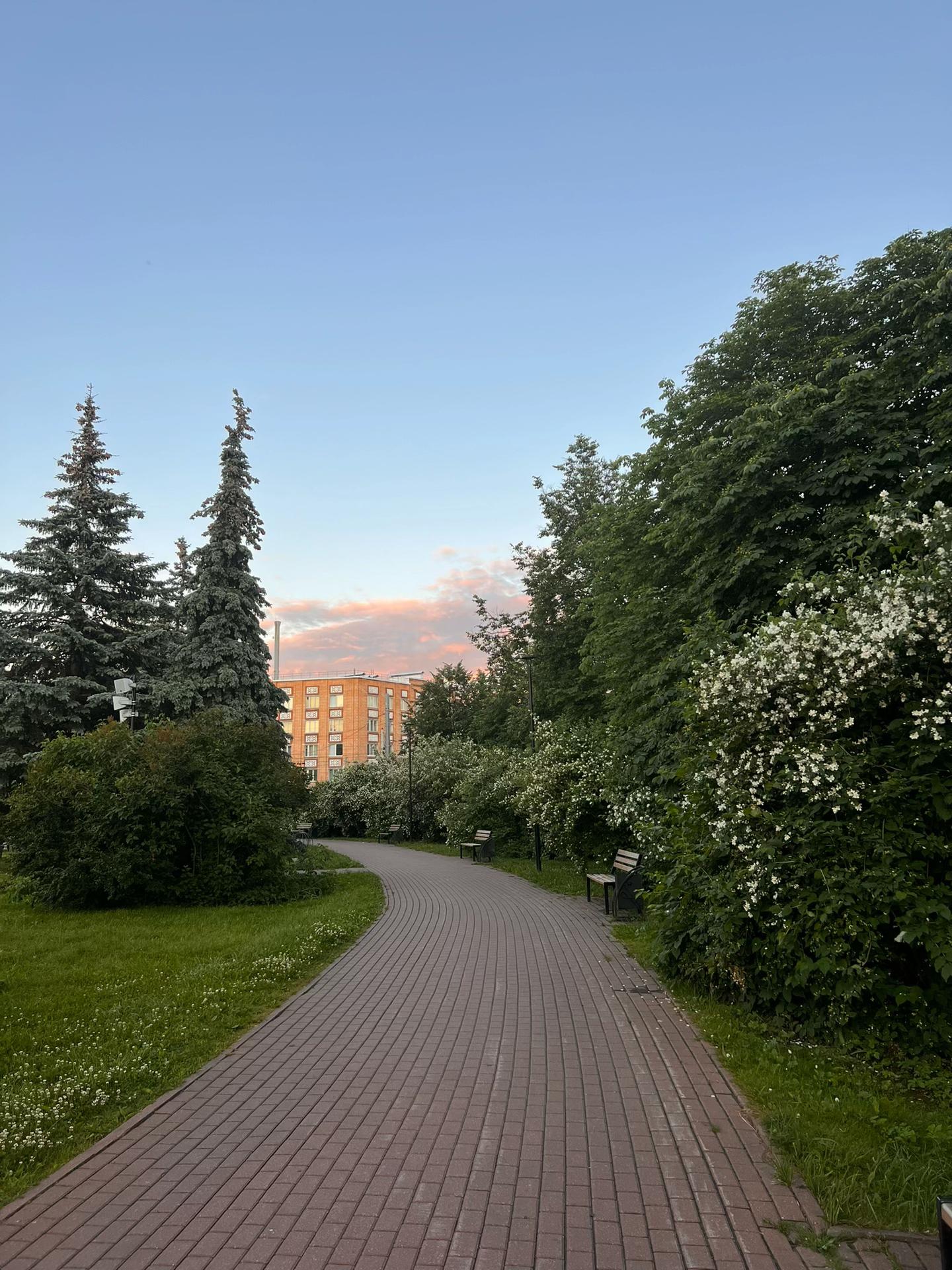 @𝑻𝑼𝑴𝑨𝑵𝑶𝑽𝑨