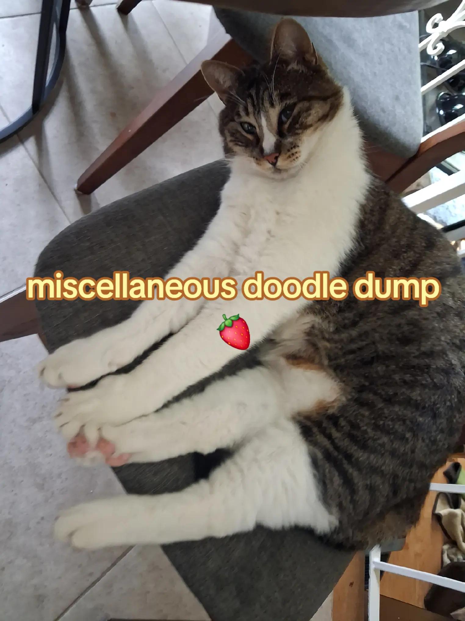 @Dimitri ๐๐ชฝ