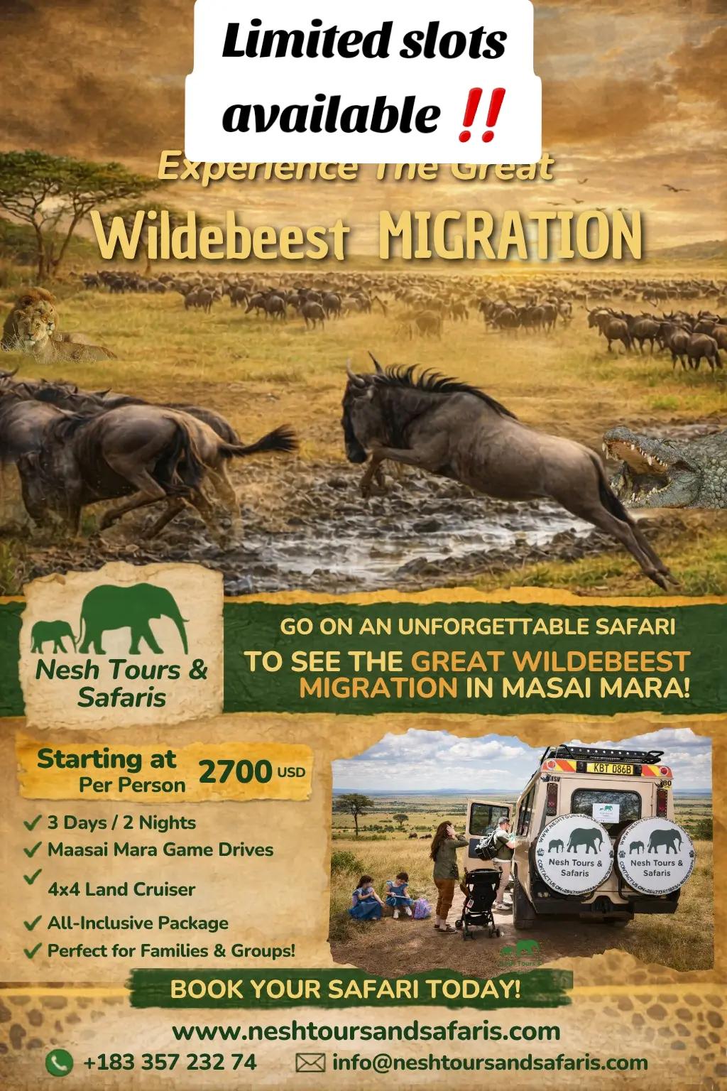 @Nesh Tours and Safaris