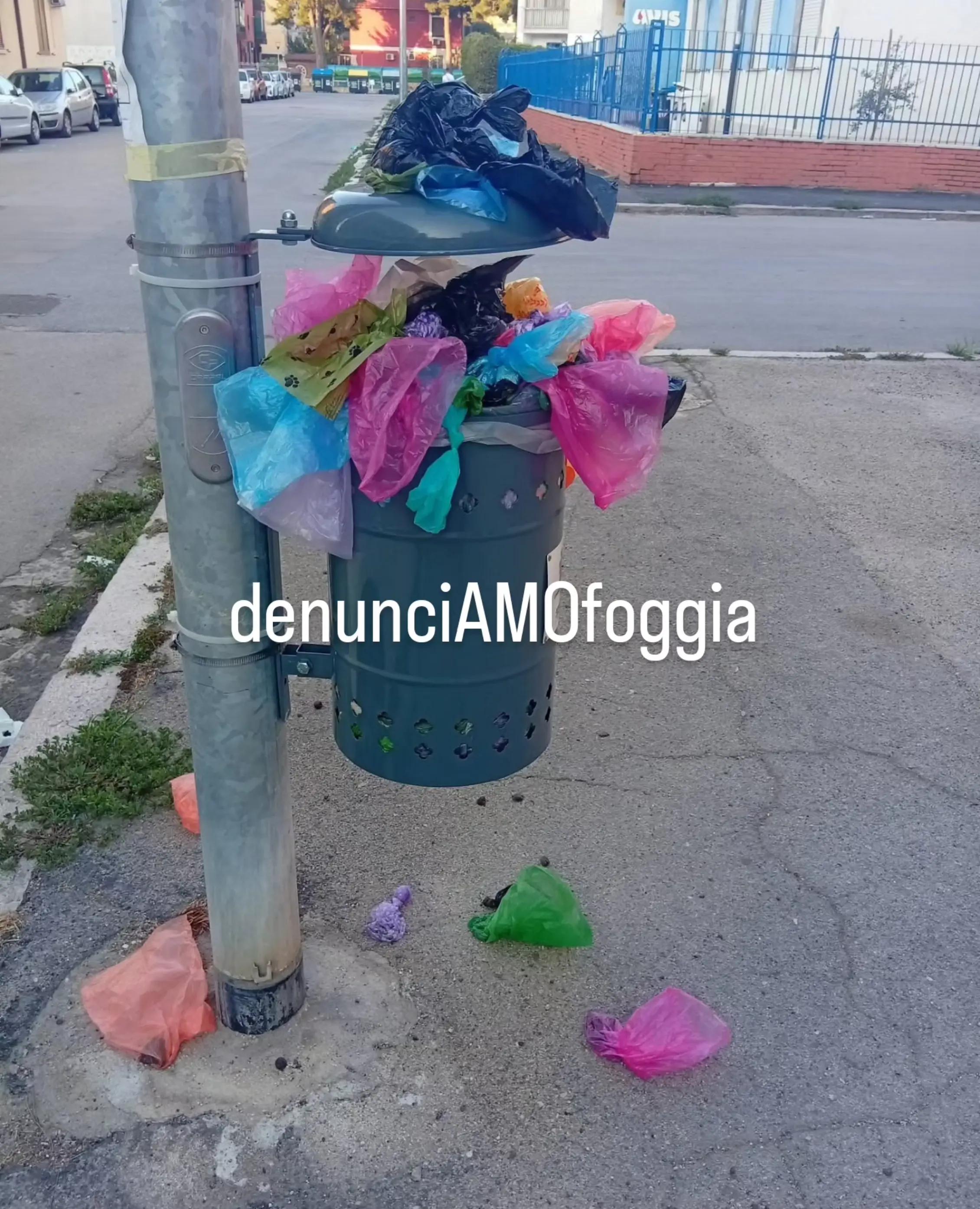 @denunciAMOfoggia