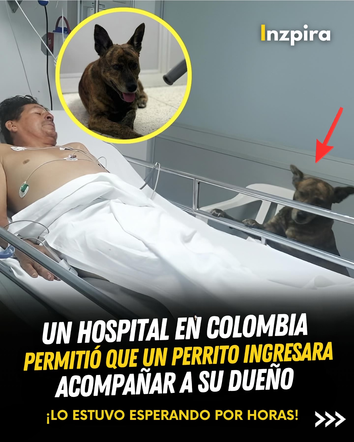 @inzpira.oficial