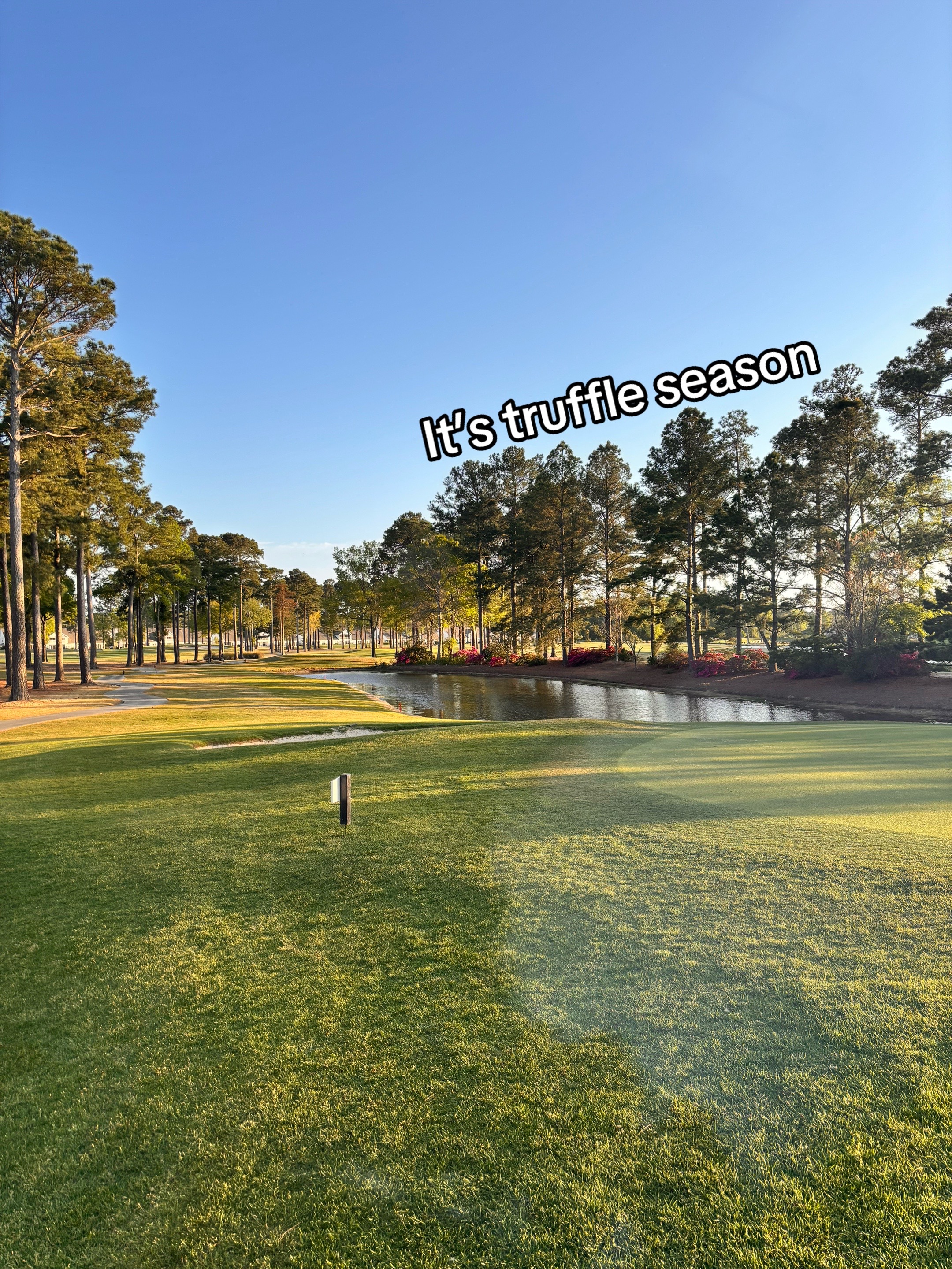 @Maddox golfs