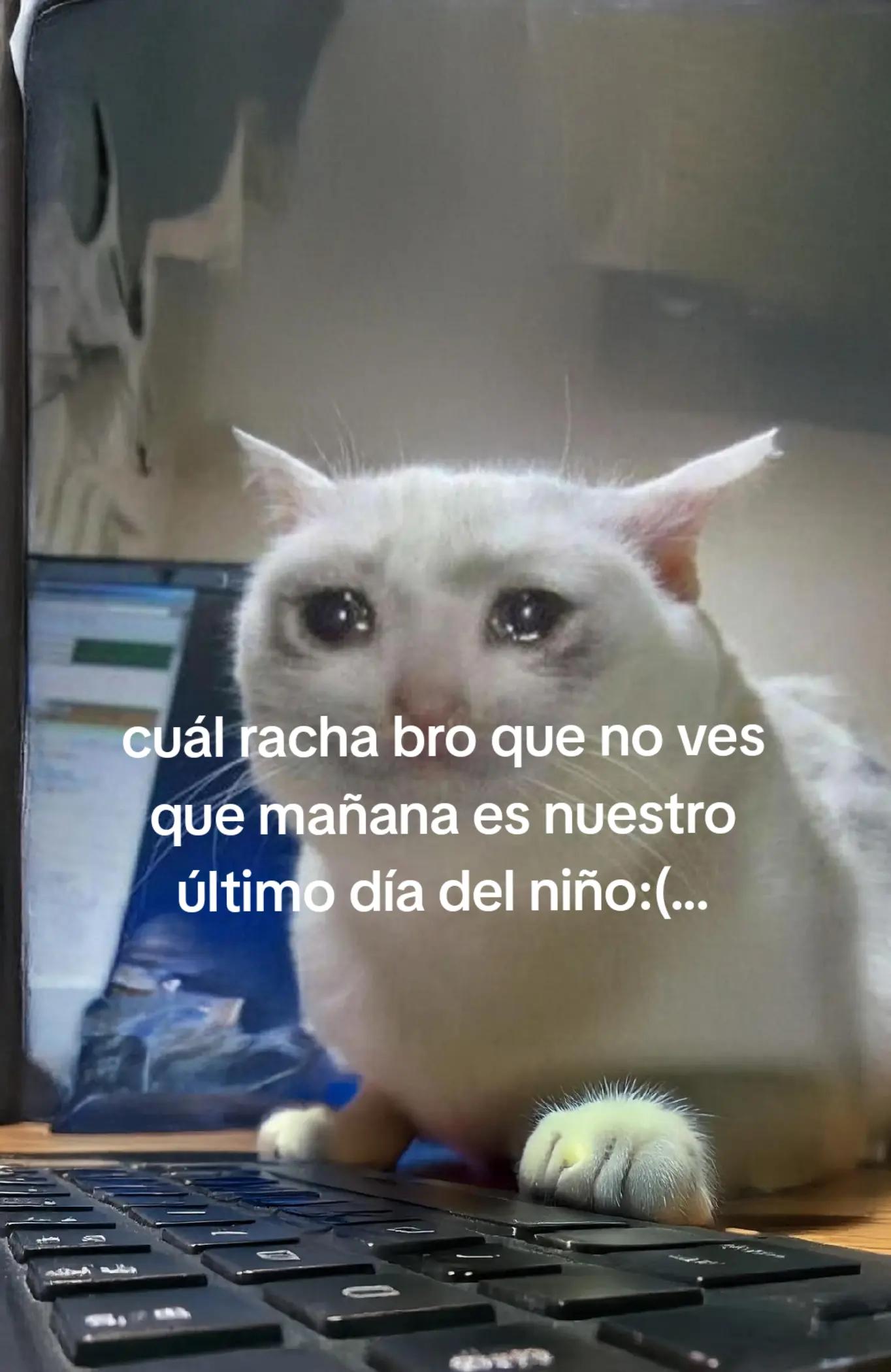 @Elgosthfacechafa