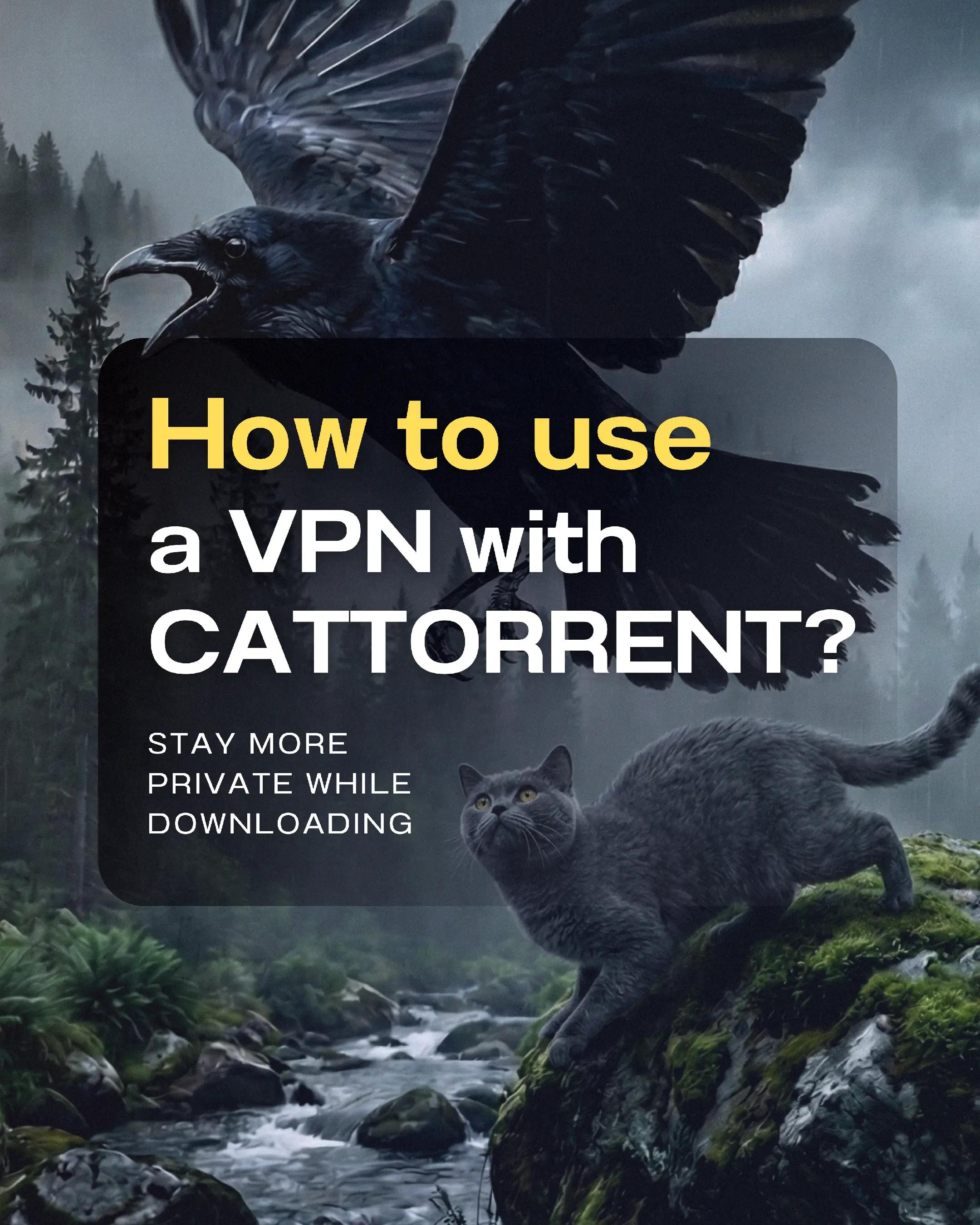 @CatTorrent