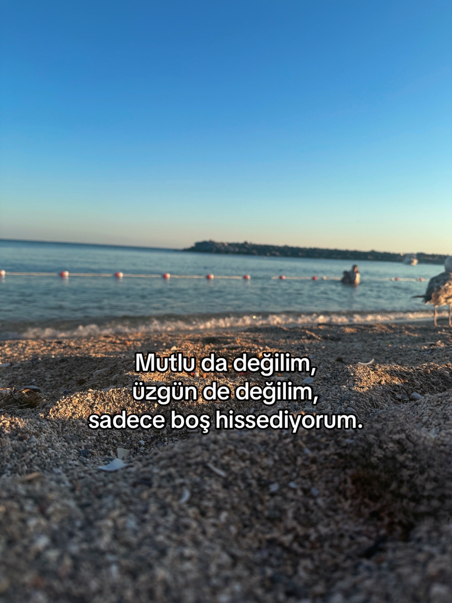 @nazz