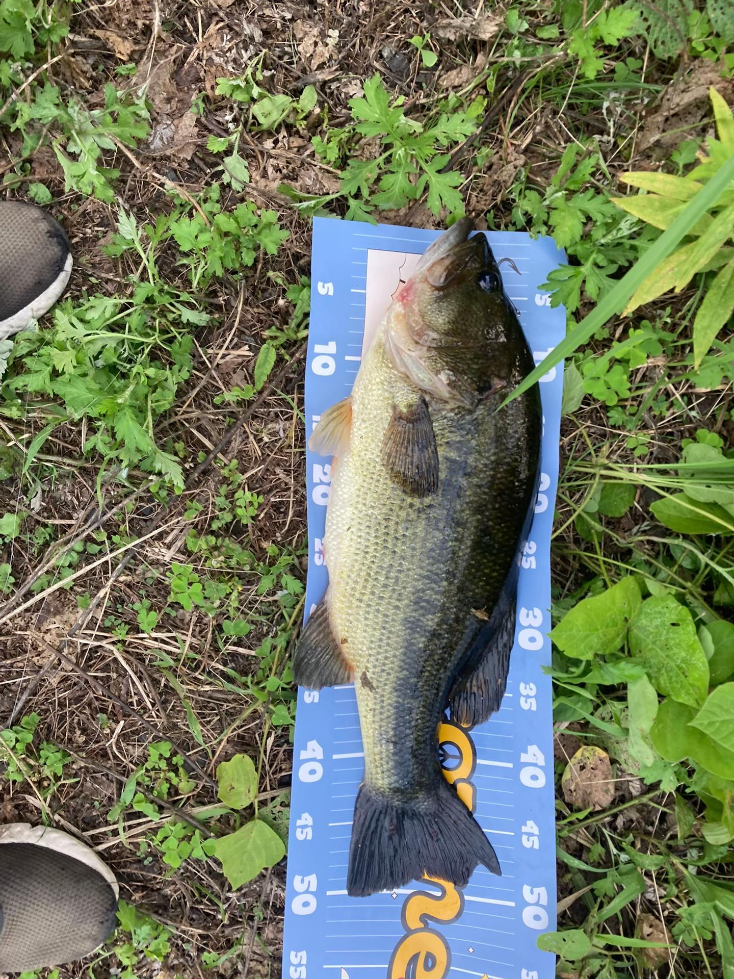 @釣り中学生