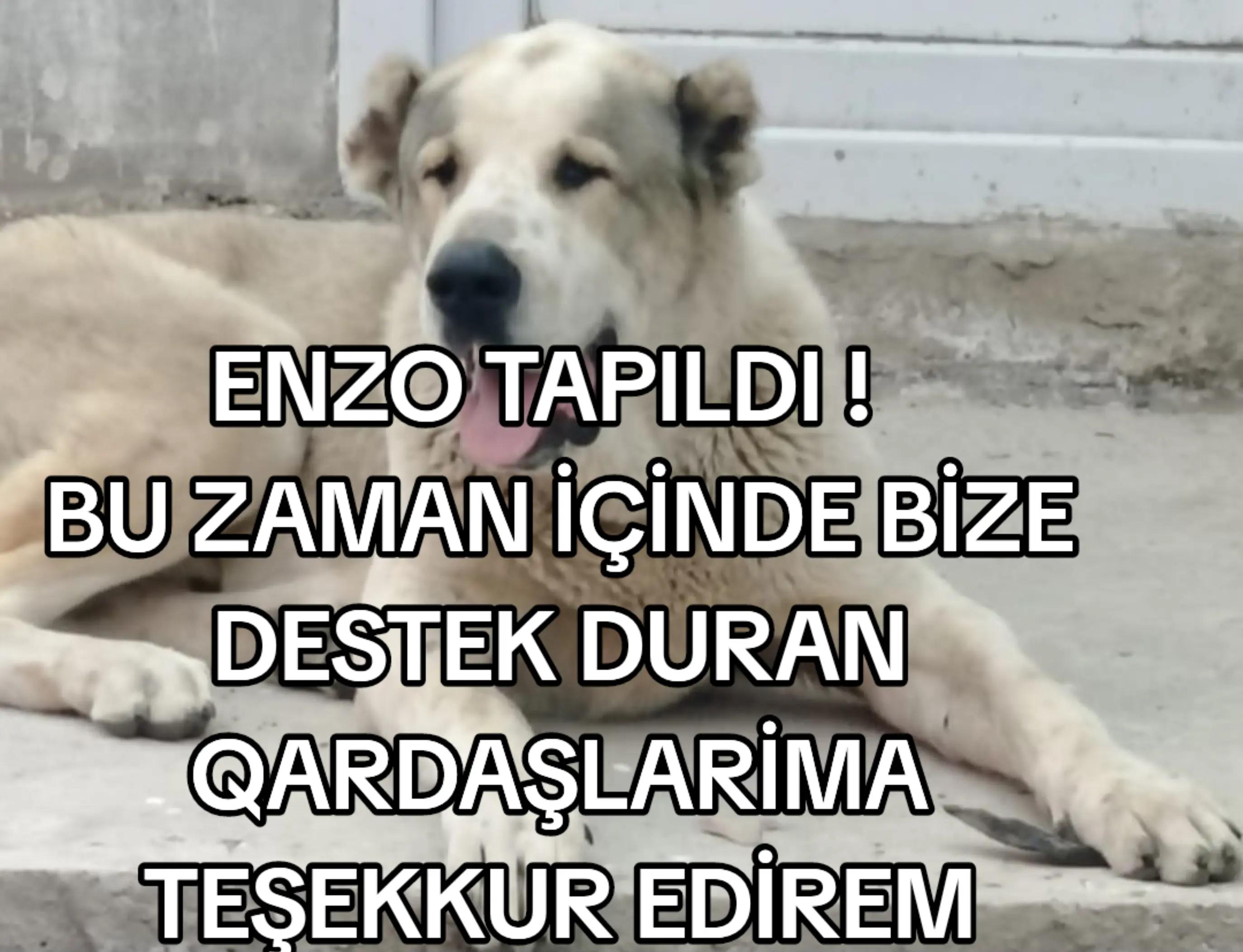 @Elşad__007