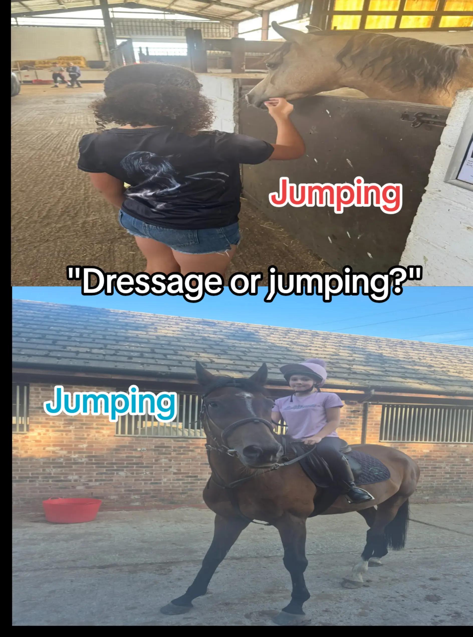 @Scarlett🐴🌾