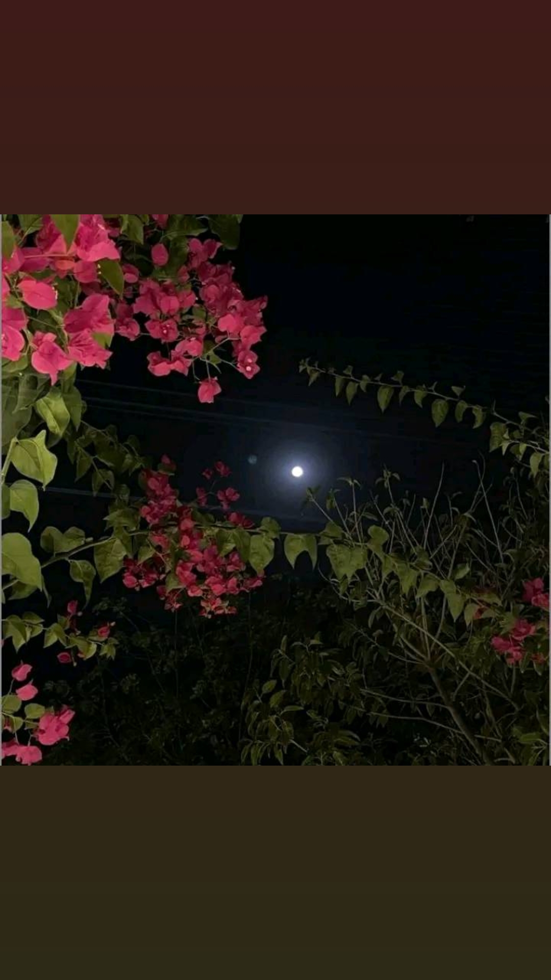 @Nanu❣️