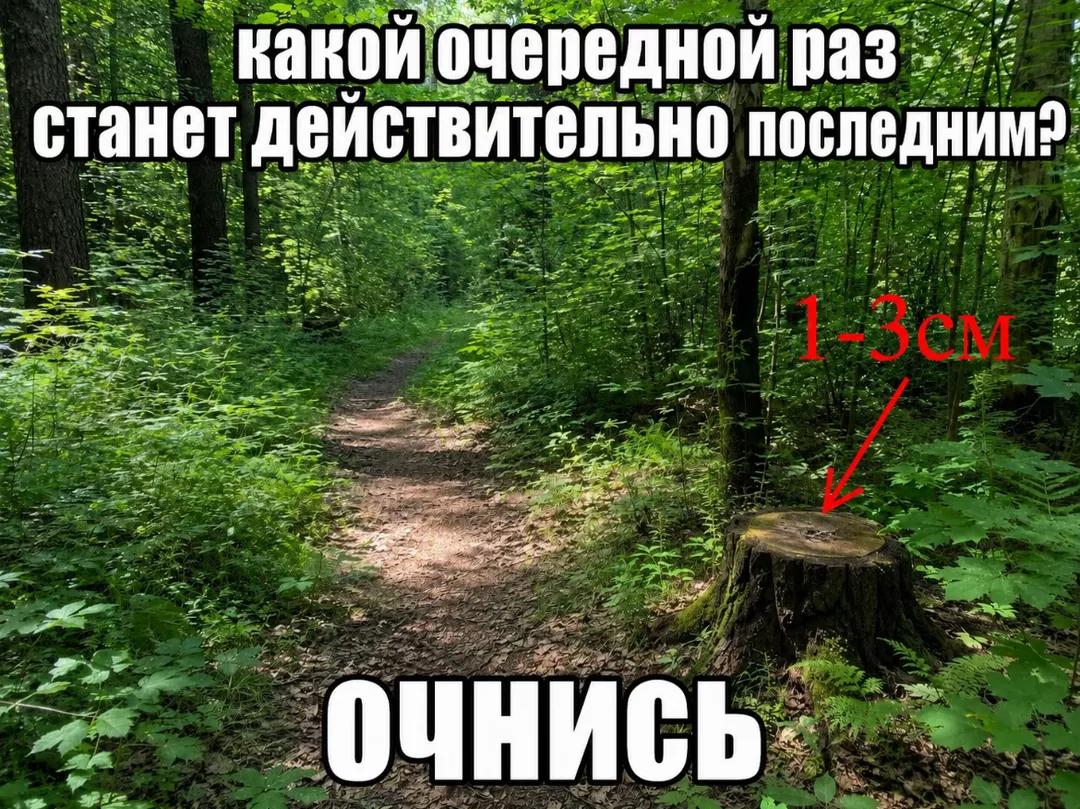@♻️ Мальборо голд ♰︎