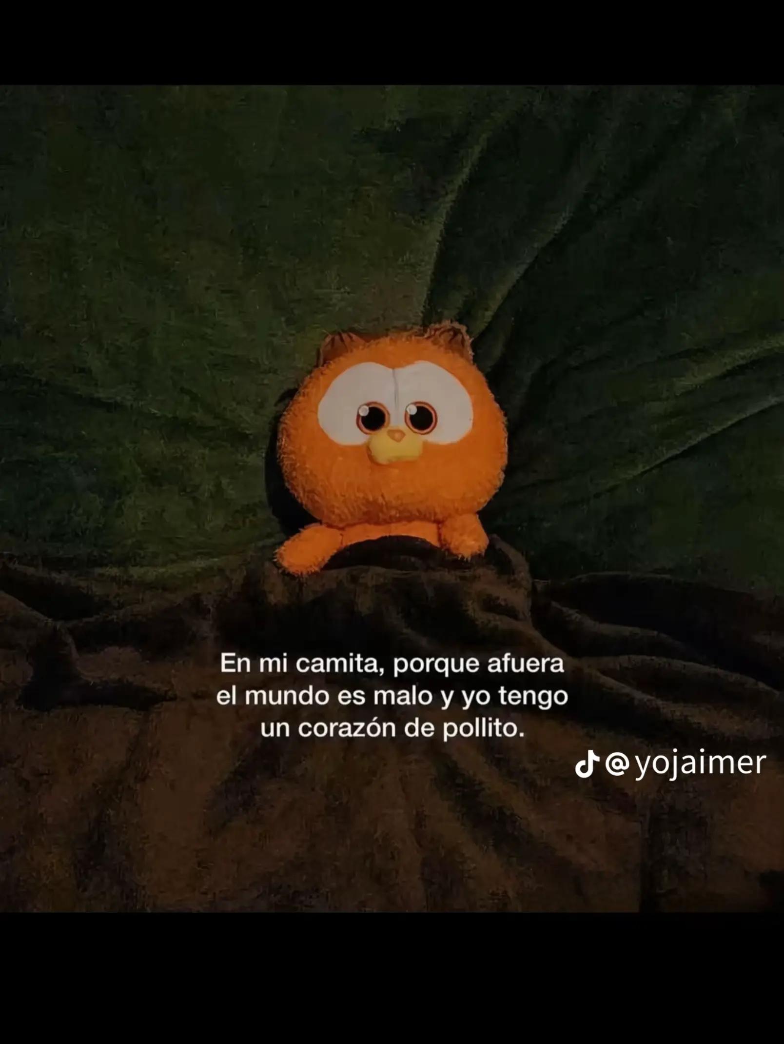 @💞SOY ALEGRIA 💫
