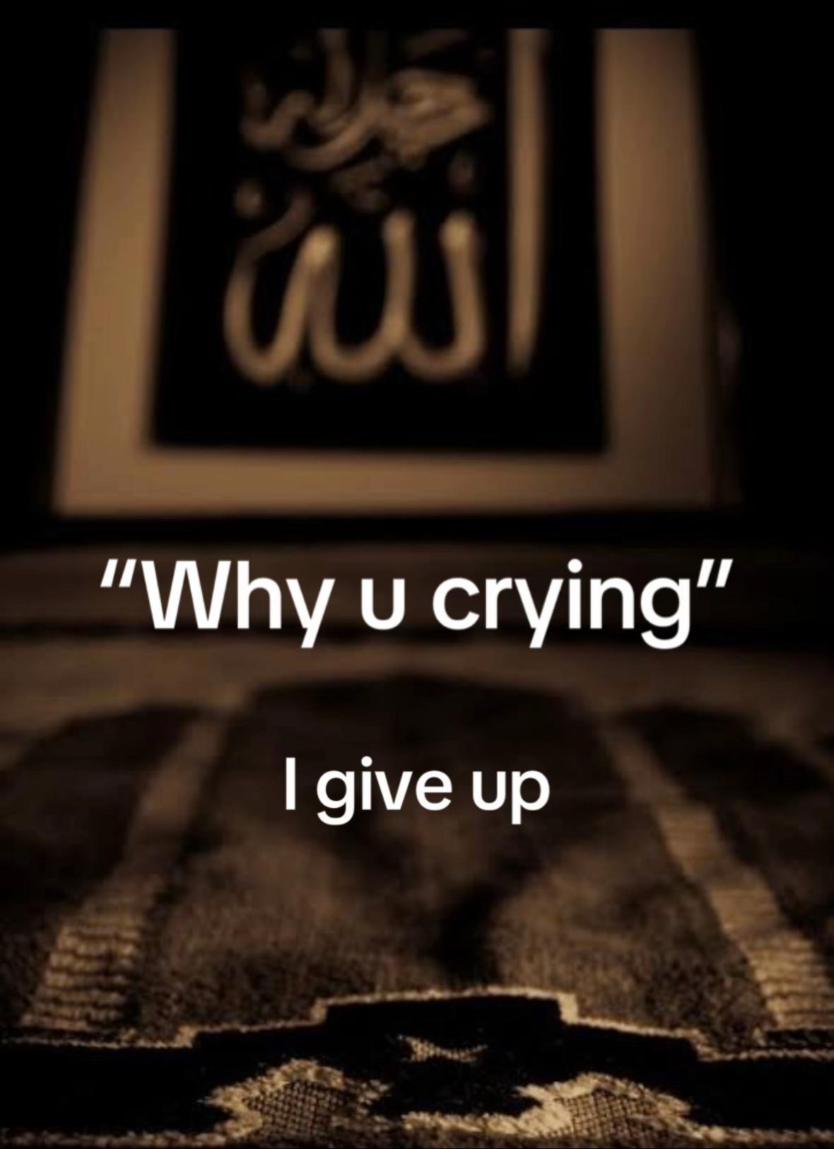 @halaltalks1