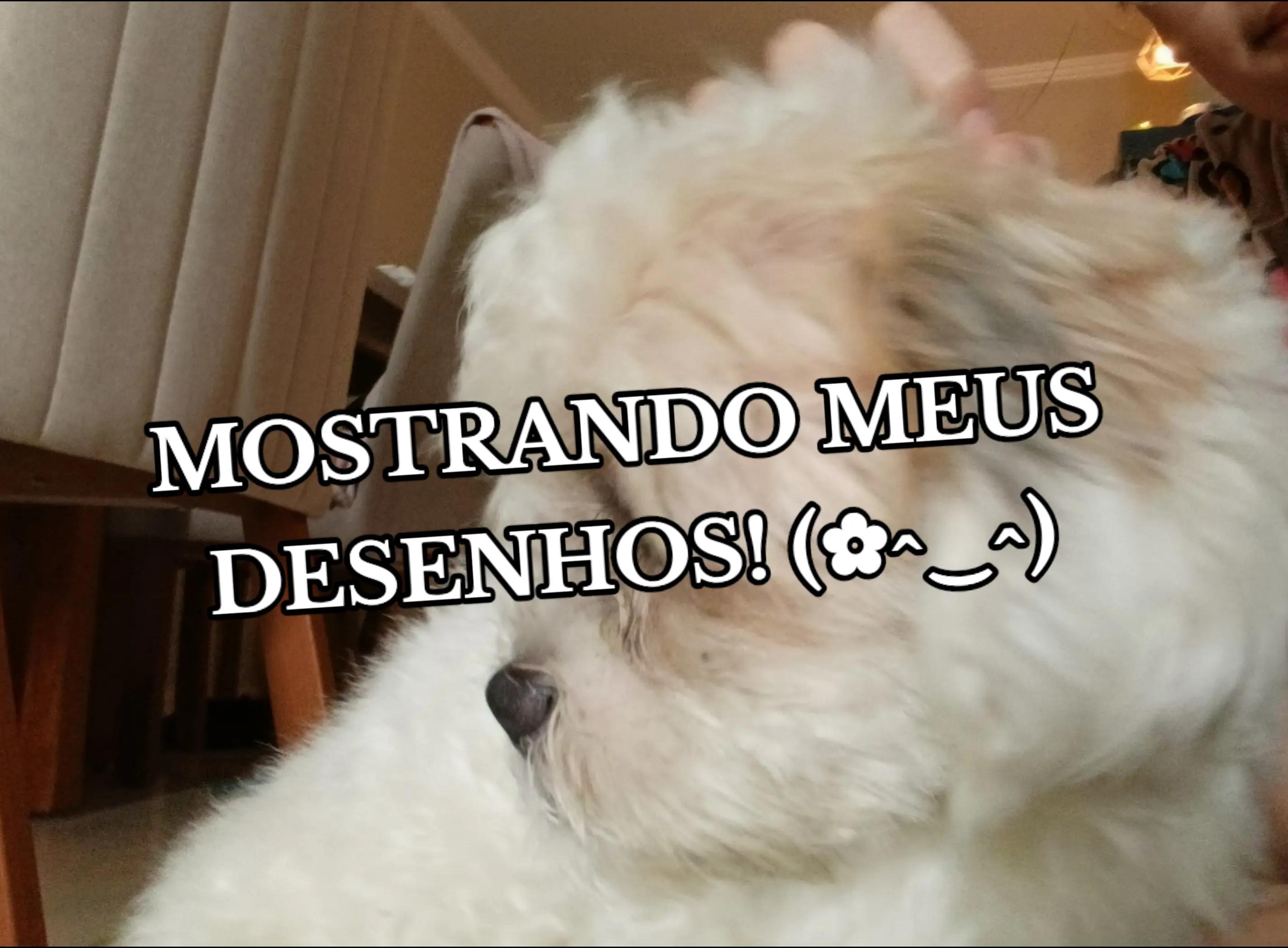 @𝙹✿𝚌𝚔| comiss&otilde;es abertas‼️