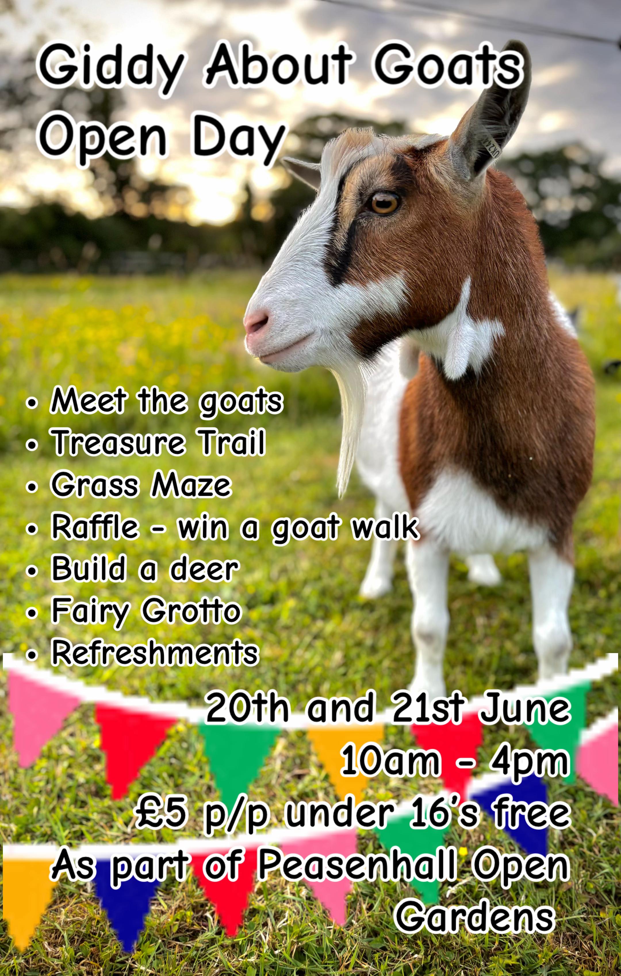 @GiddyAboutGoats