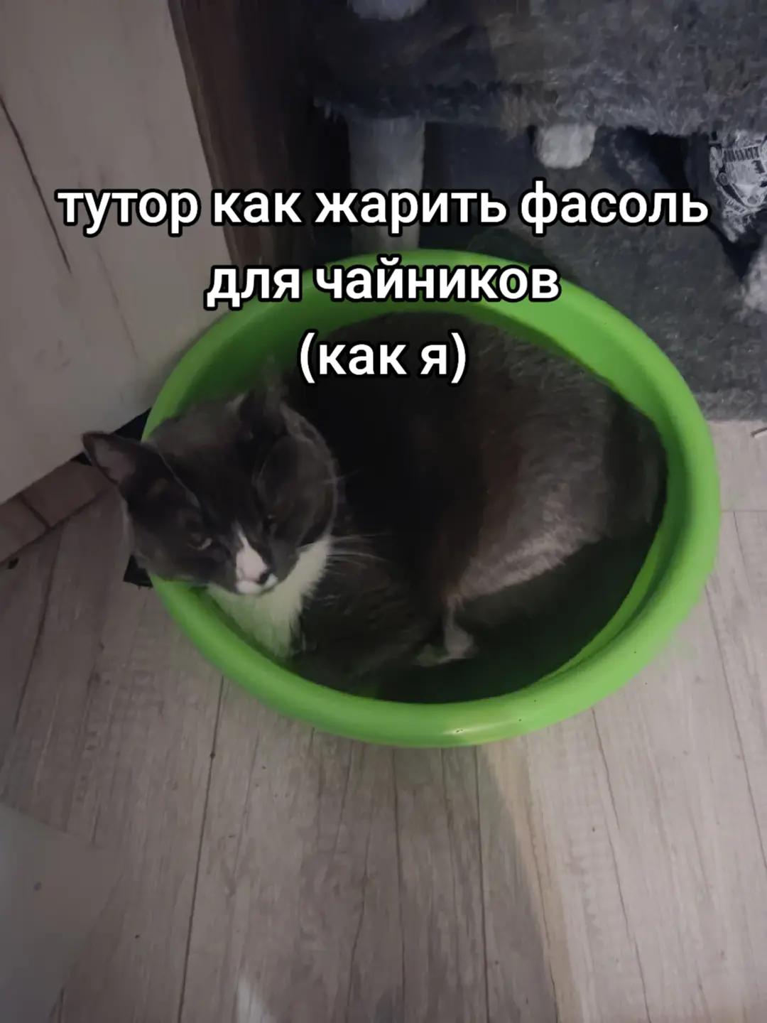 @лелуш