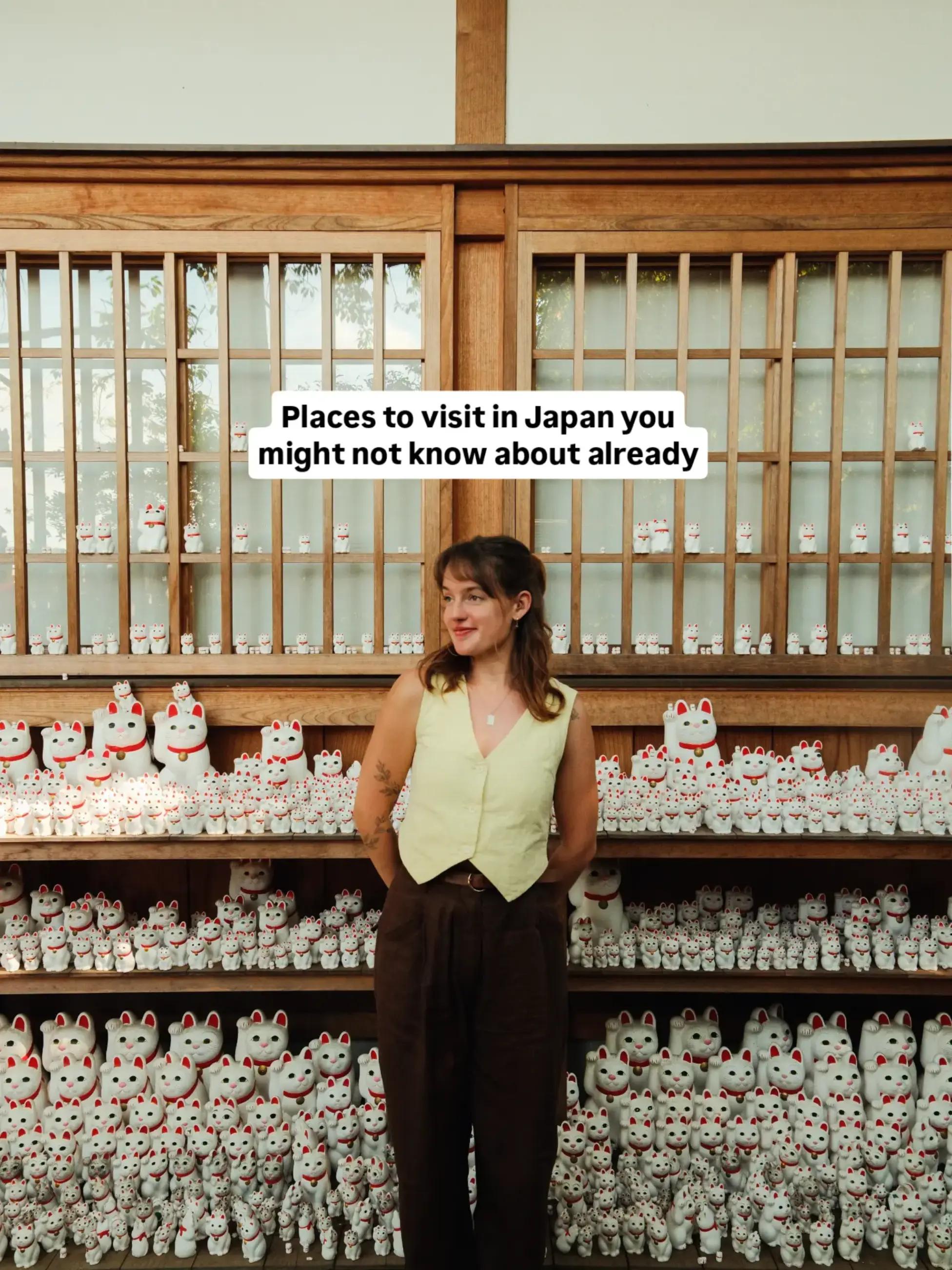 @Alicia ✨ Travel Blogger