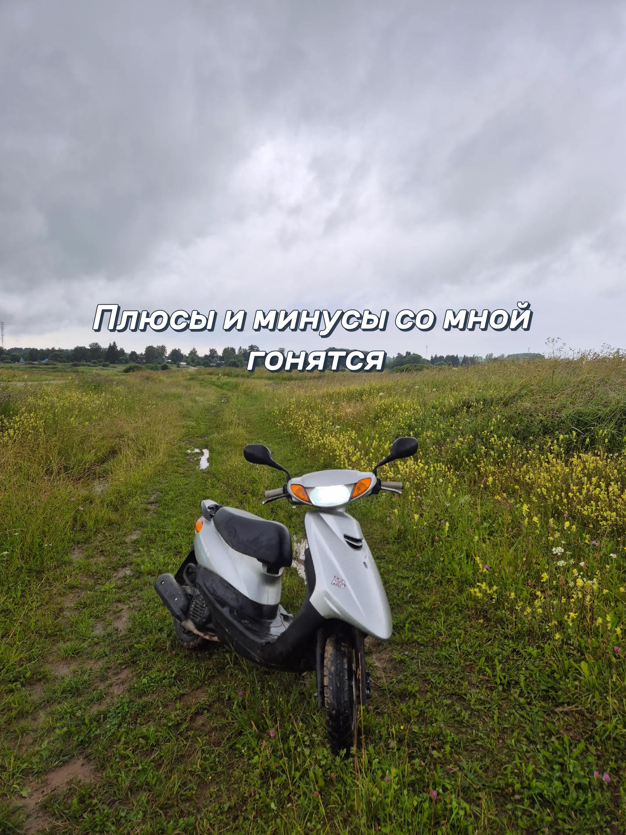 @alphavod