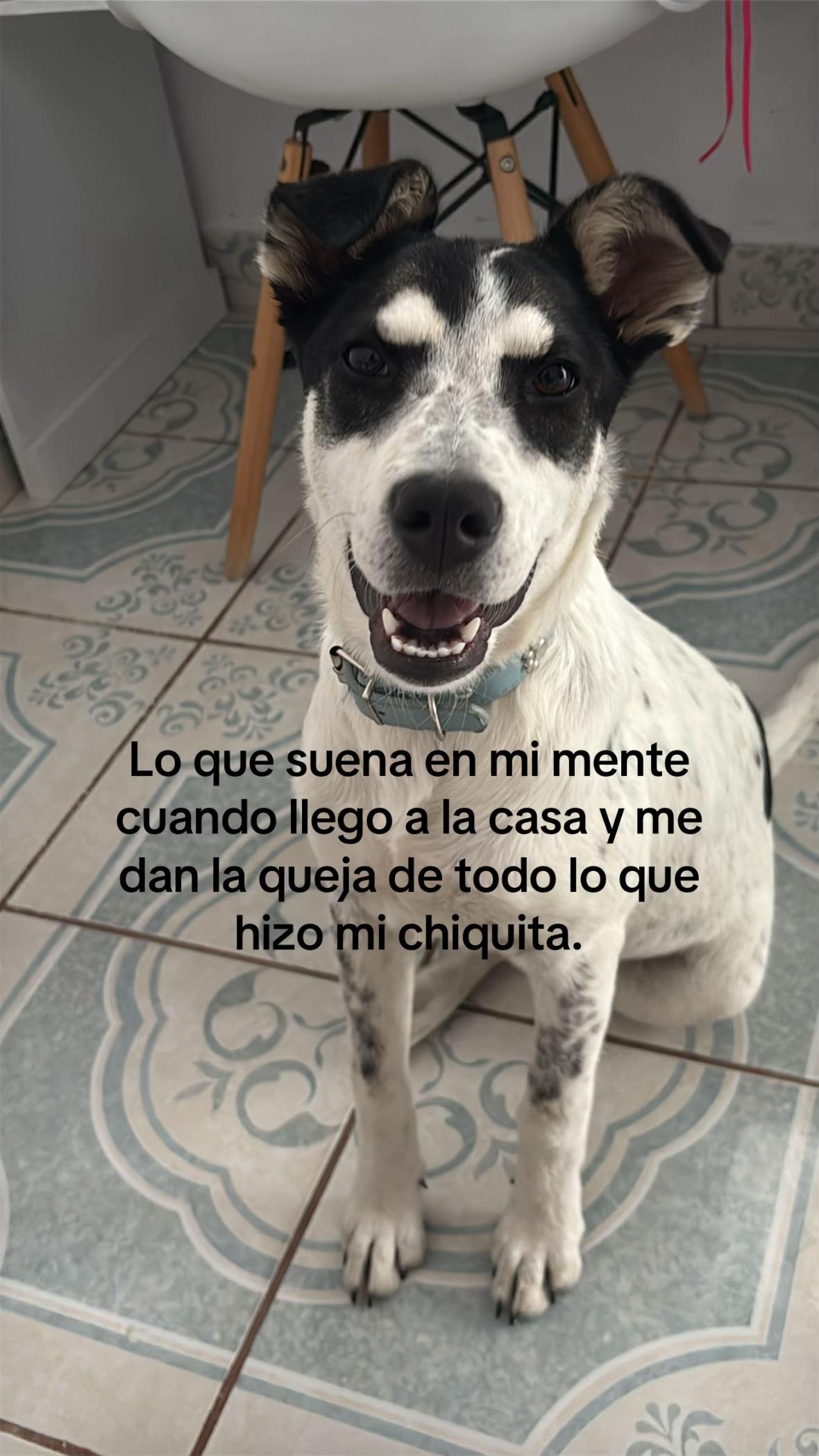 @M