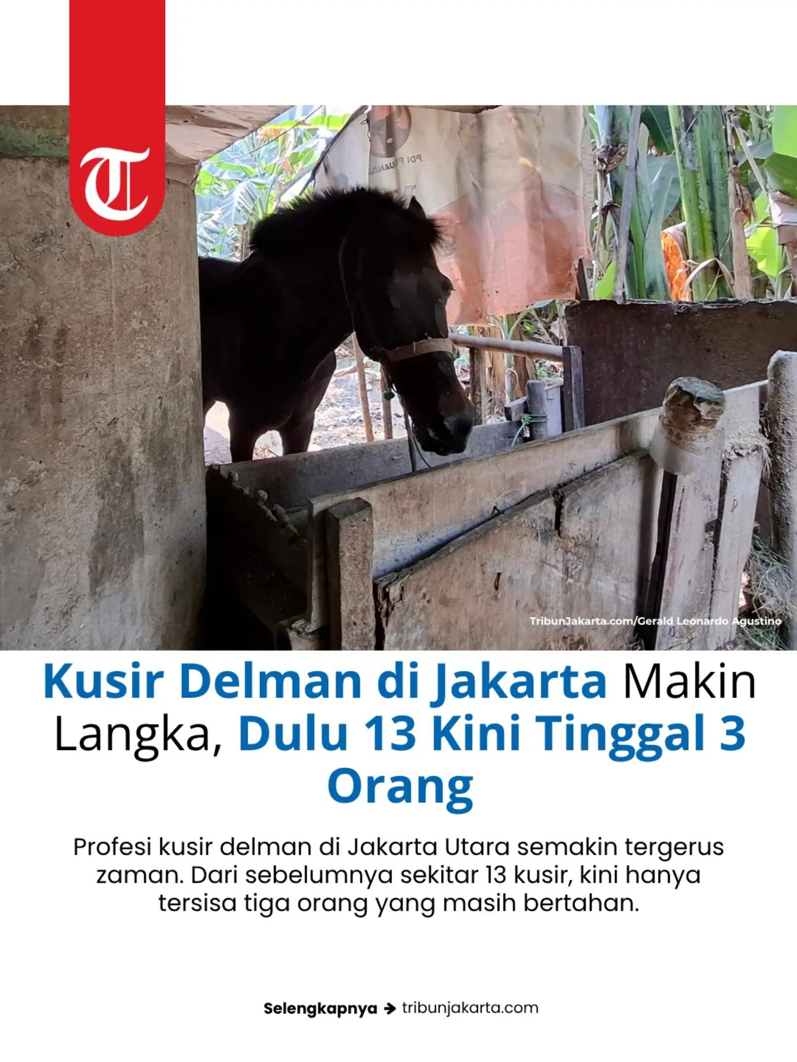 @Tribun Jakarta Official
