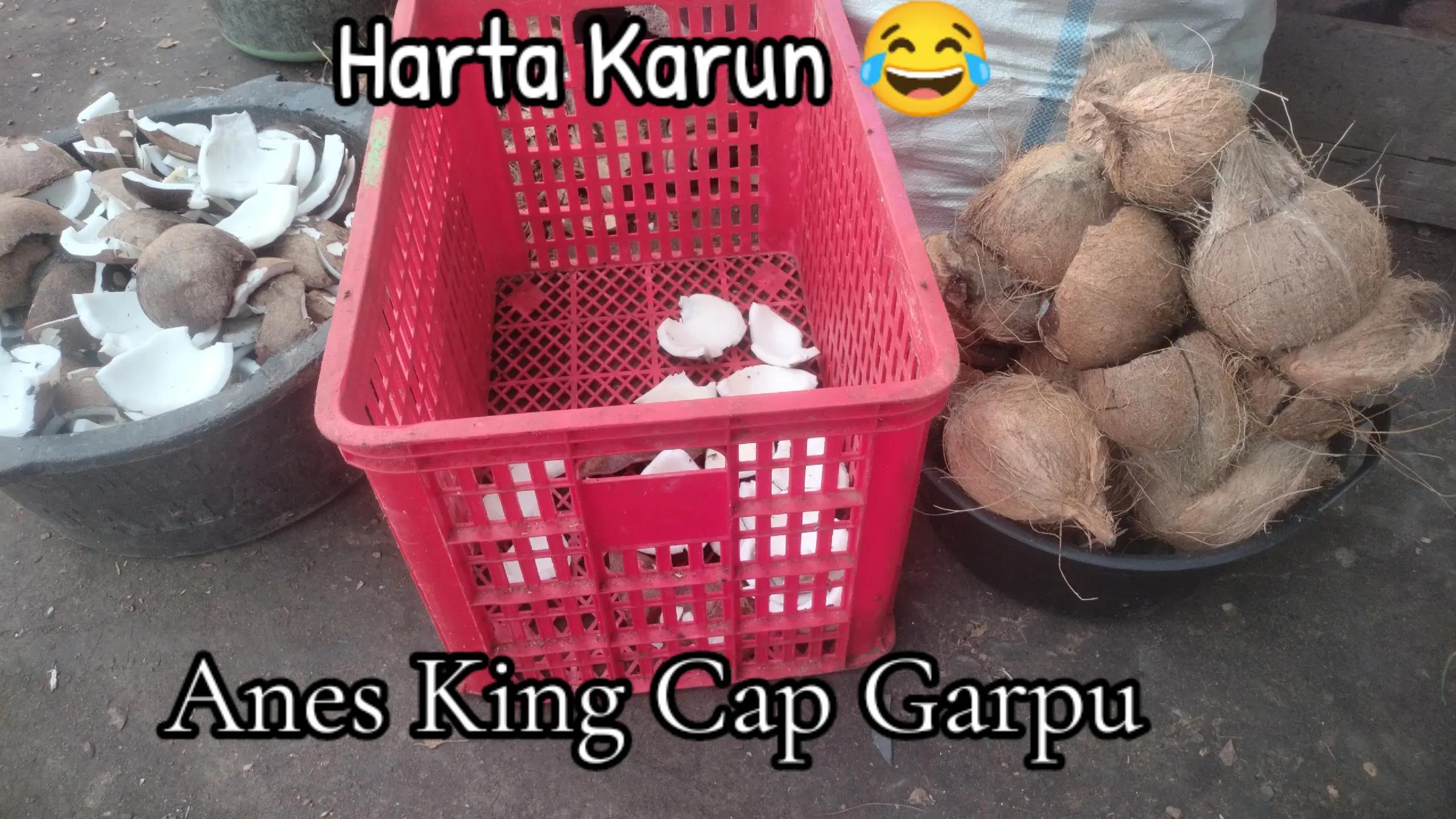 @Anes_King_cap_garpu