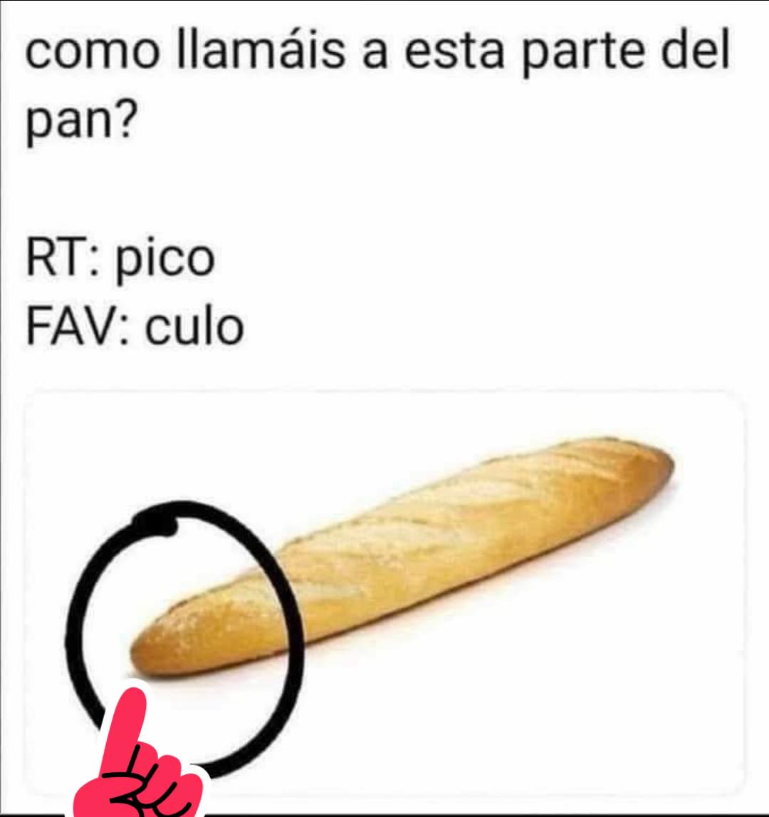 @sarita