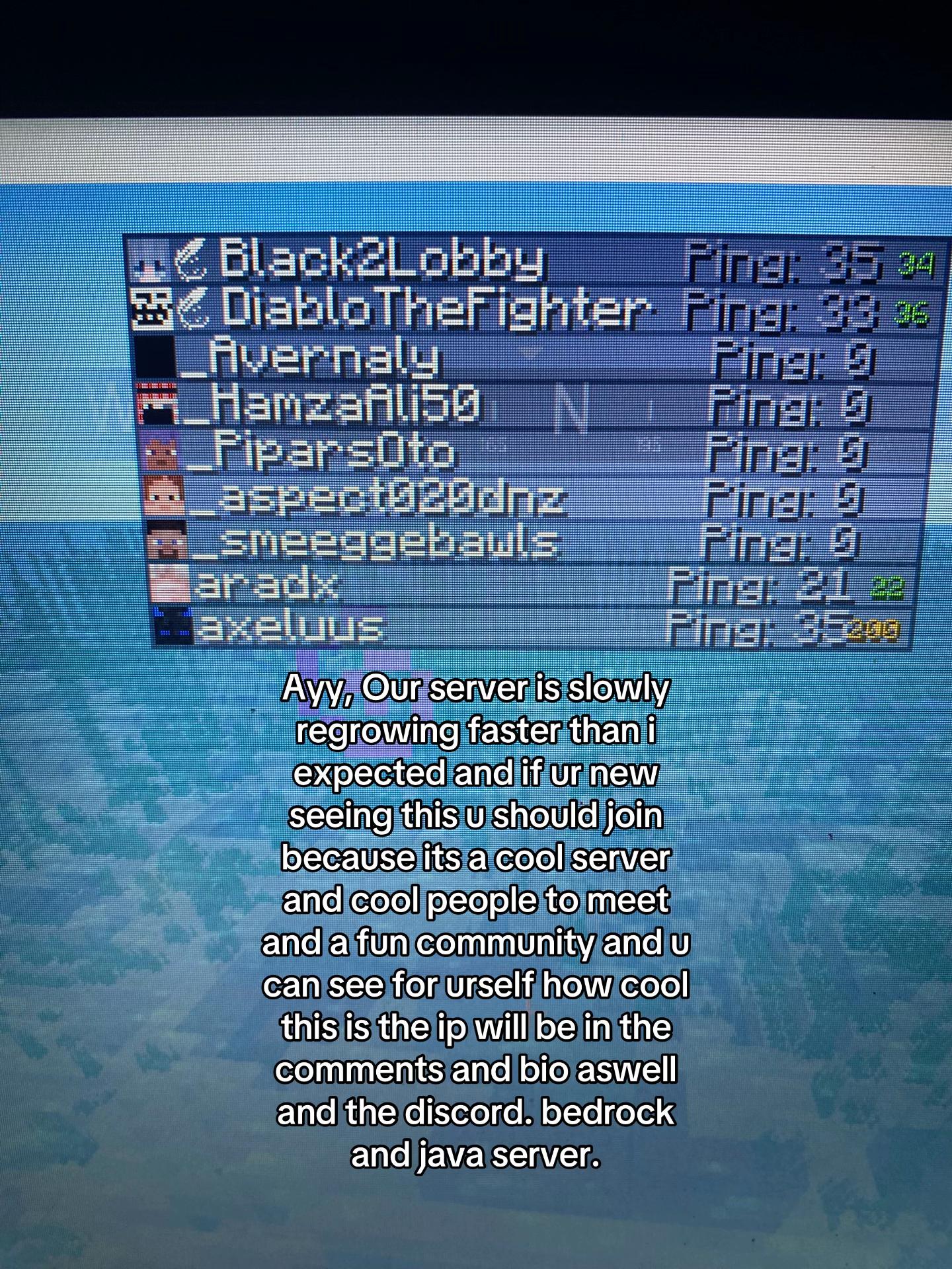 @Potion SMP