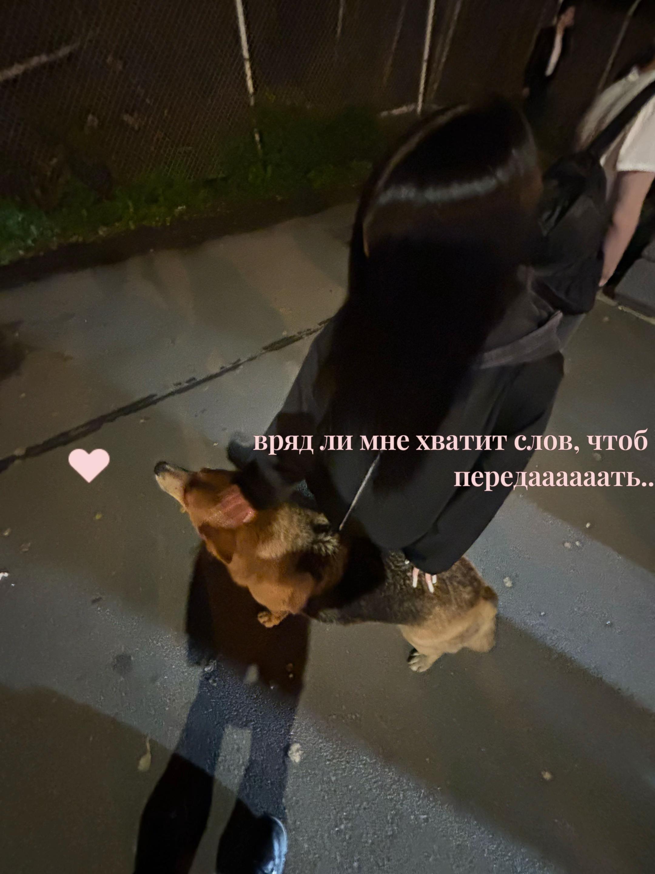 @лисава