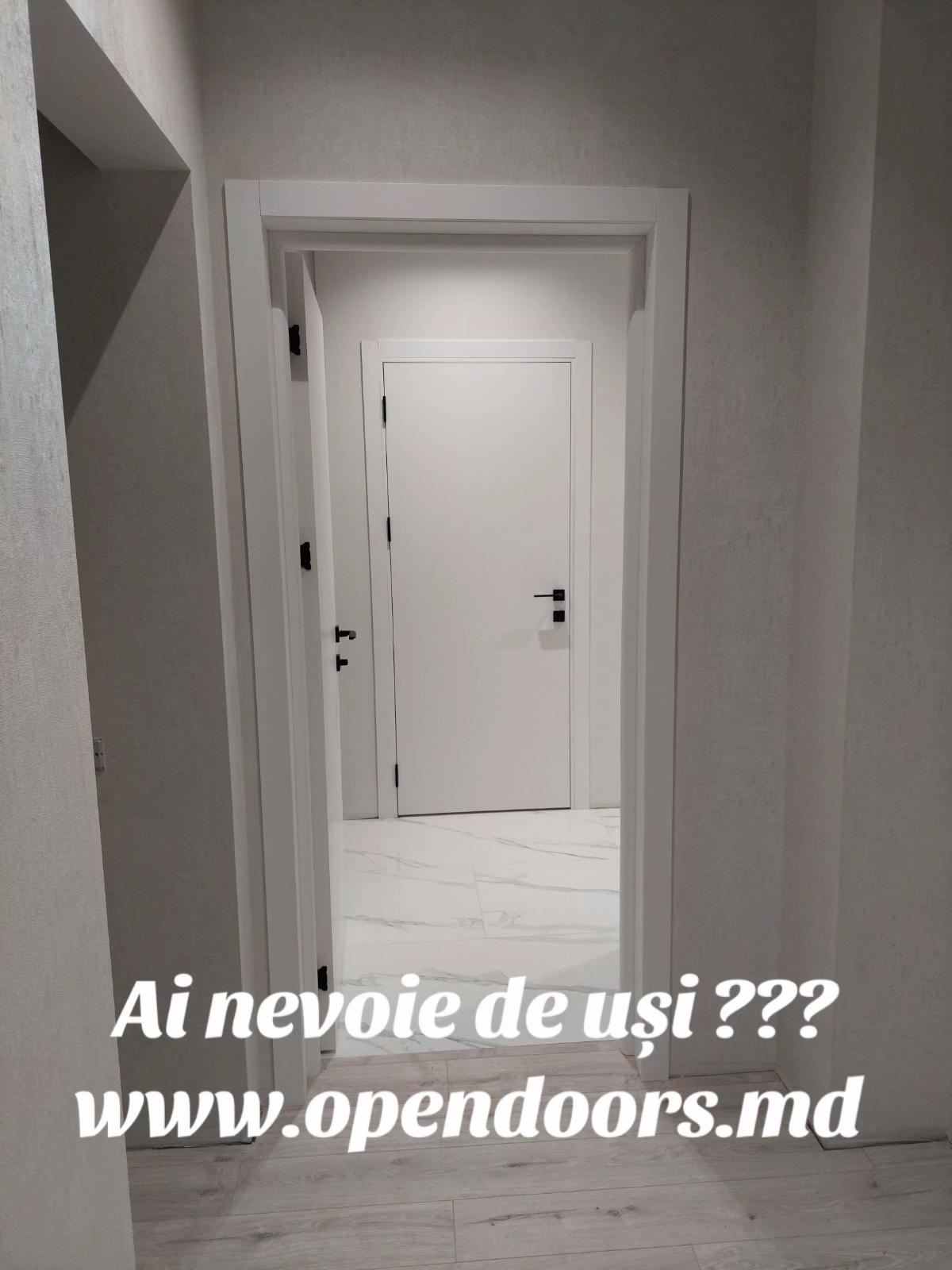 @usi.opendoors.md